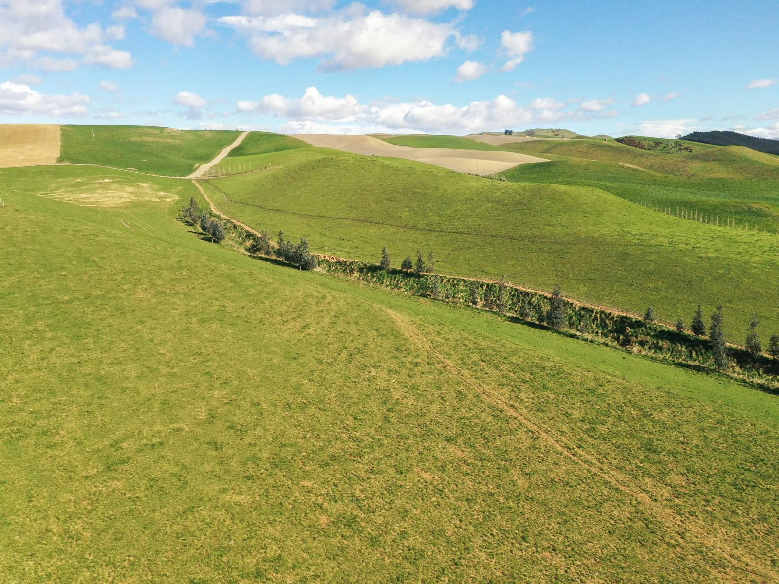 770 Mount Harris Road, Waimate
