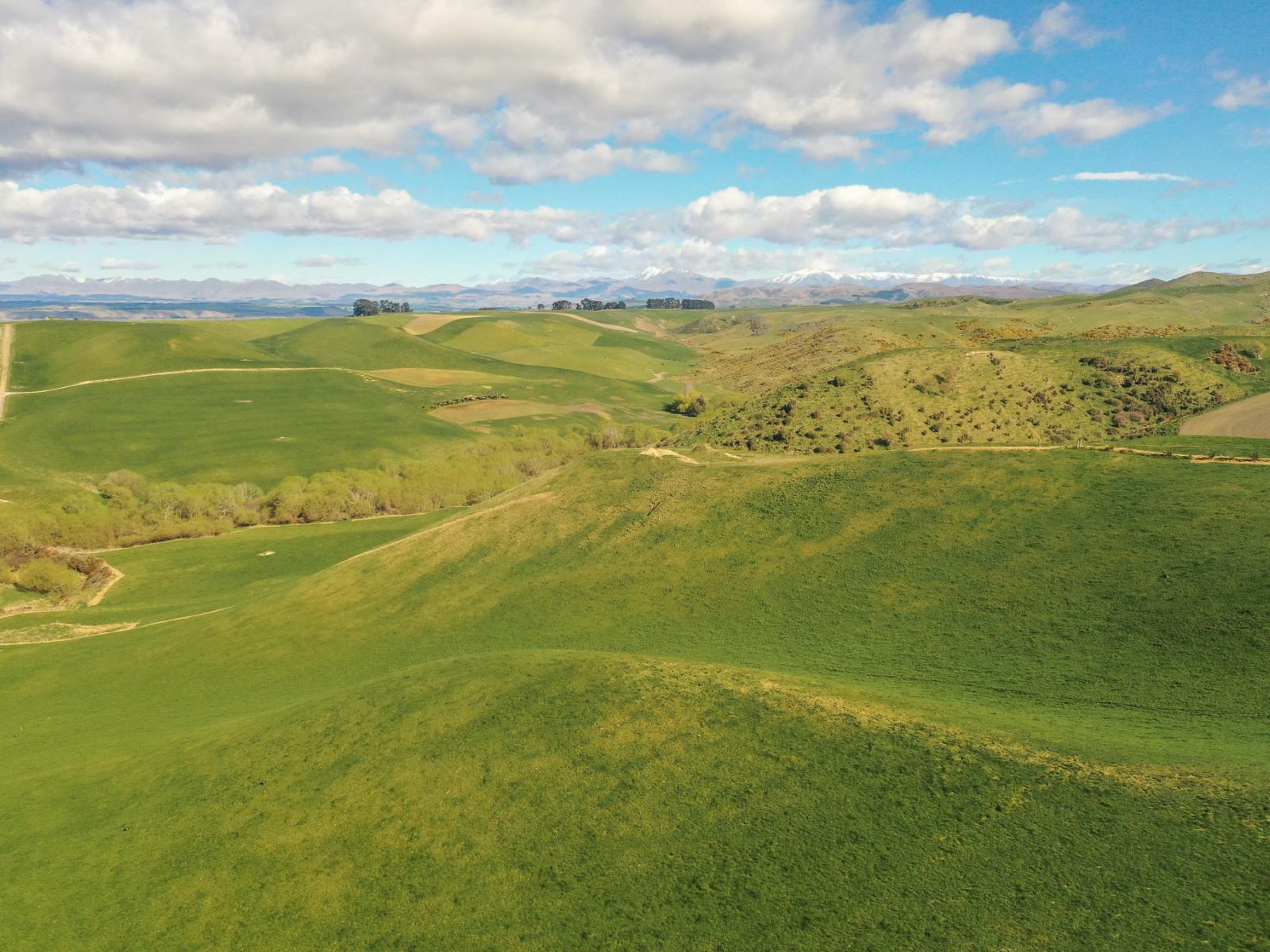 770 Mount Harris Road, Waimate
