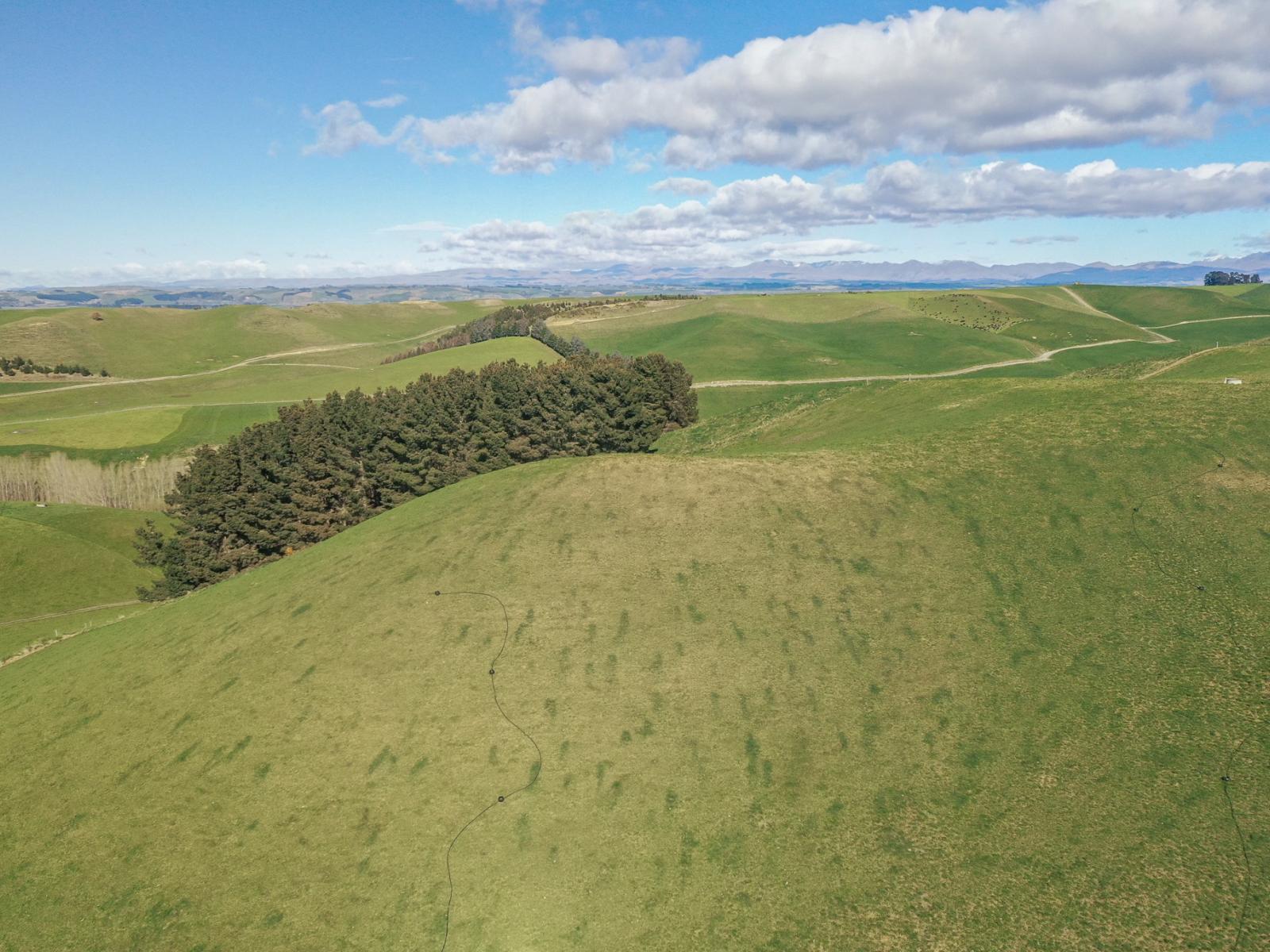 770 Mount Harris Road, Waimate