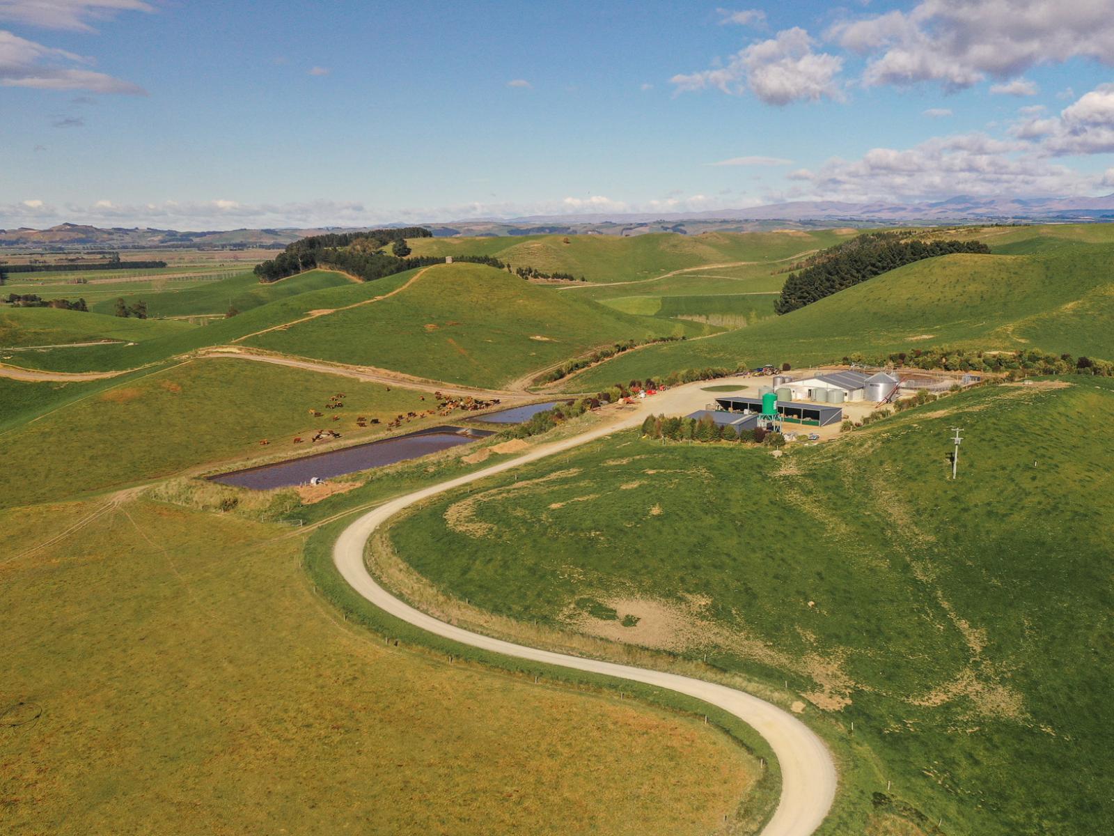 770 Mount Harris Road, Waimate