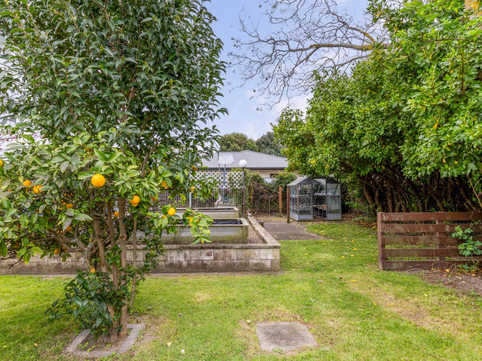 24 Caxton Street, Onekawa