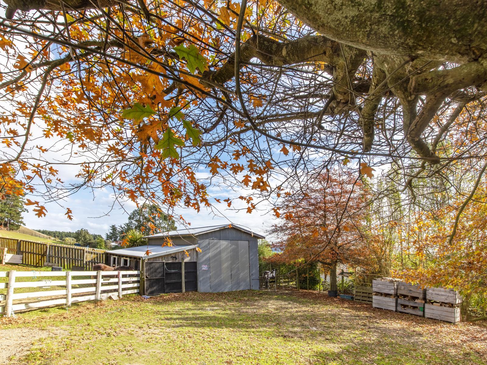 128 Mangatarata Road, Waipukurau