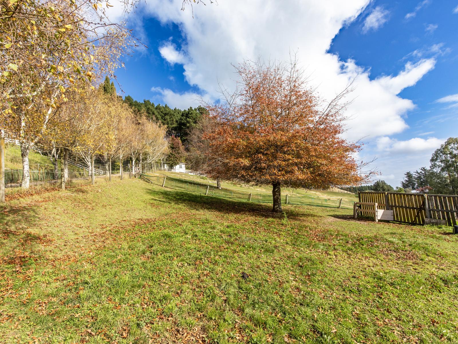 128 Mangatarata Road, Waipukurau