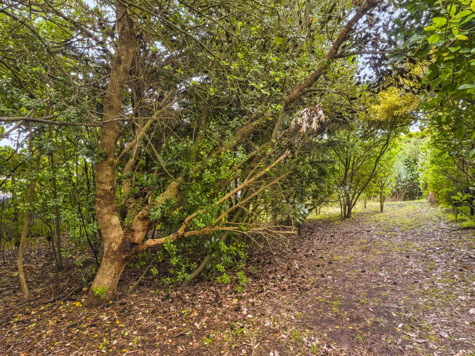 5 Norna Grove, Waikawa Beach