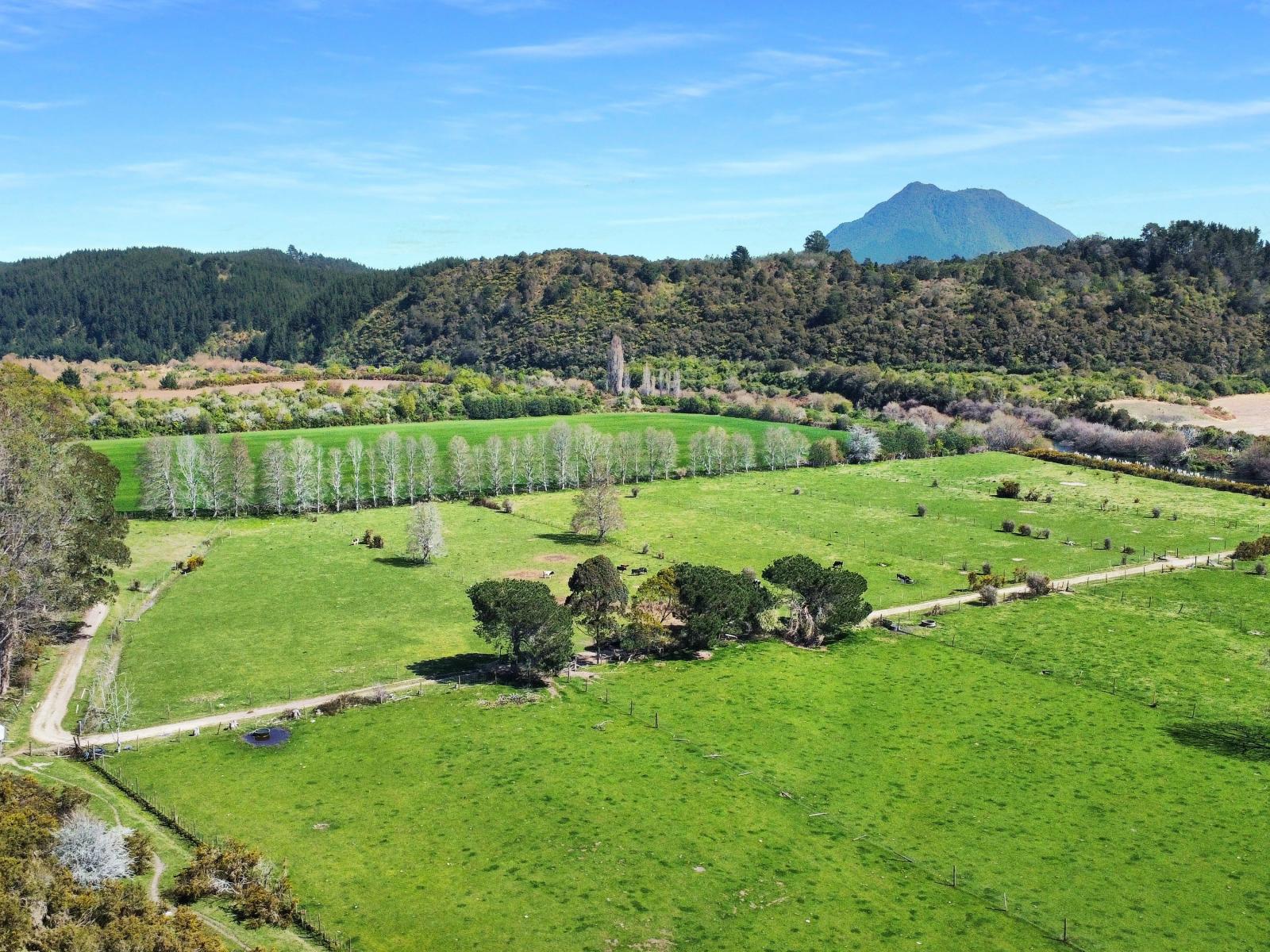 418 Galatea Road, Te Teko