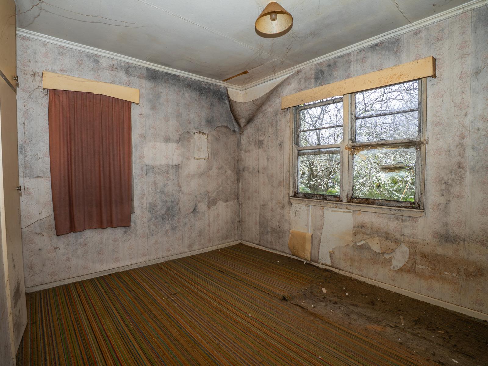 20 Cobden Street, Gisborne