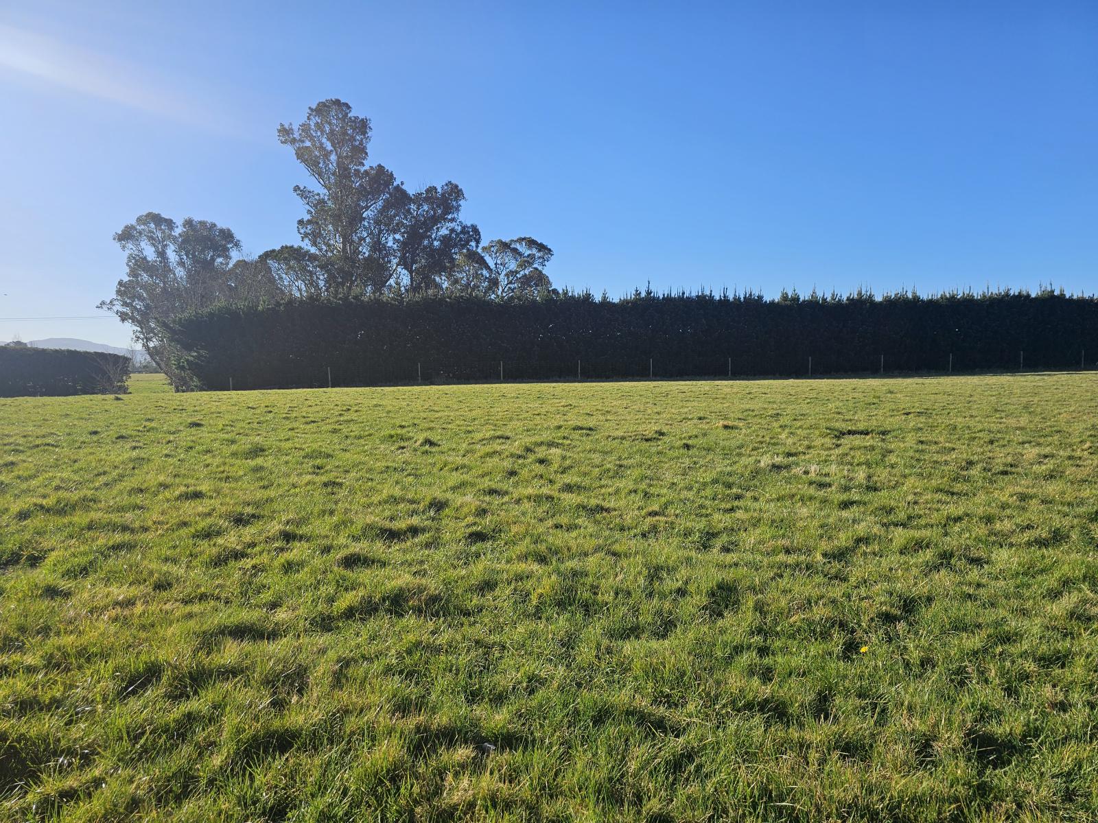 135 Chapel Road, Loburn