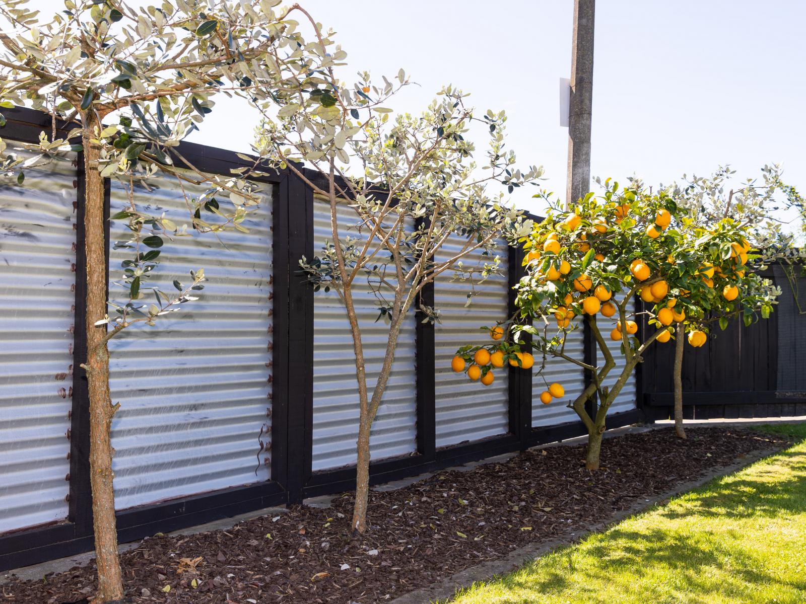 1 Beveridge Place, Greenmeadows