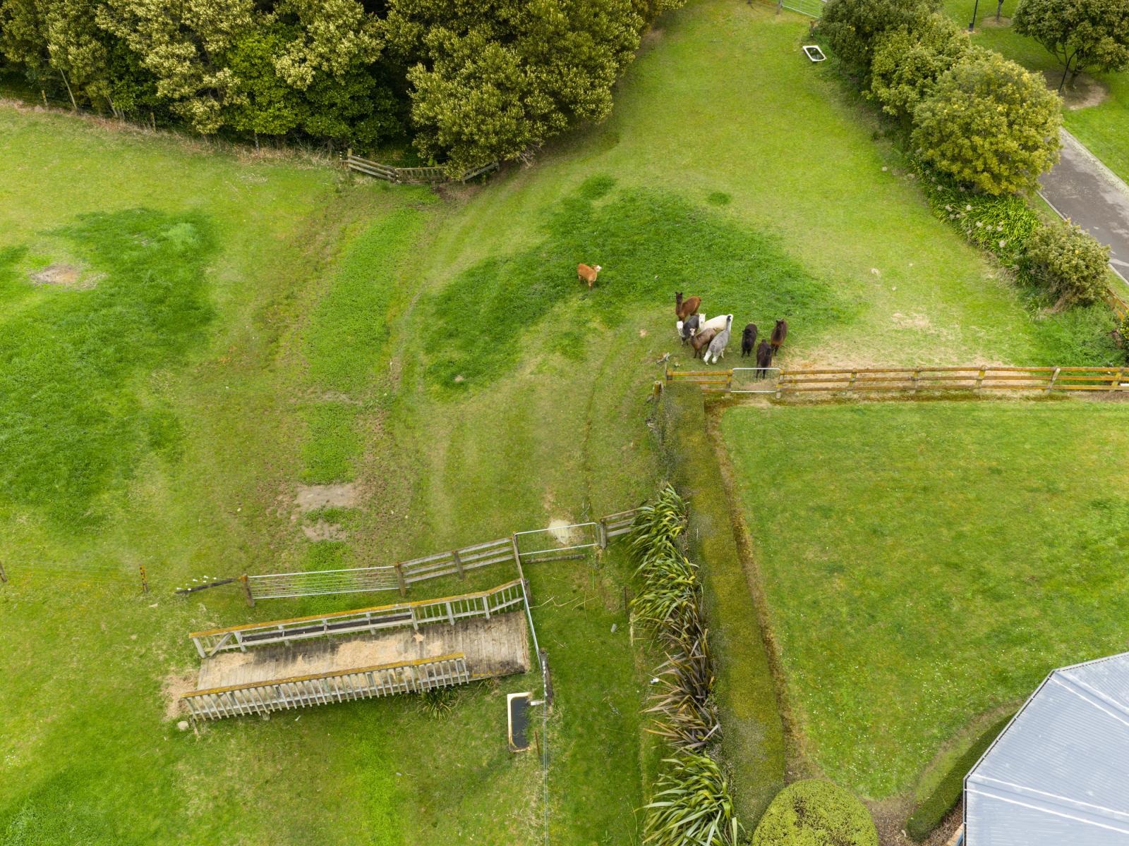 7 Harrisons Line, Palmerston North