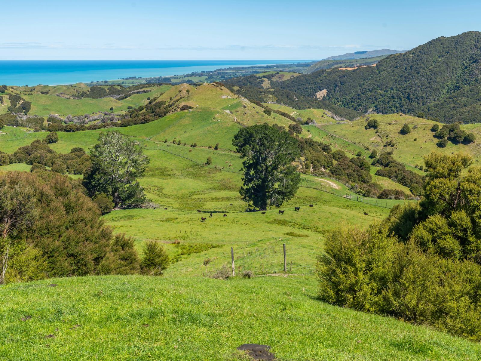 600 Hundalee Road, Kaikoura