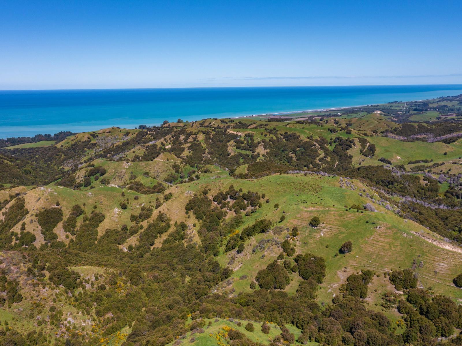 600 Hundalee Road, Kaikoura