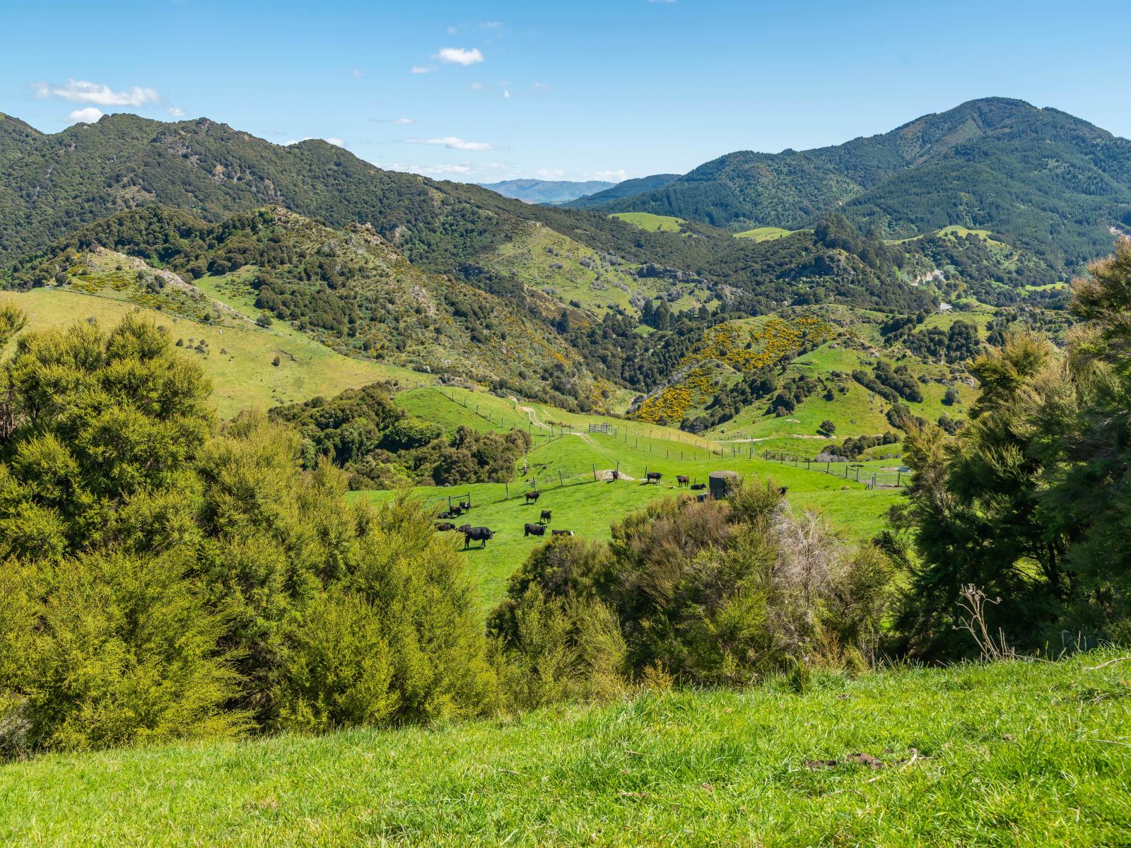 600 Hundalee Road, Kaikoura