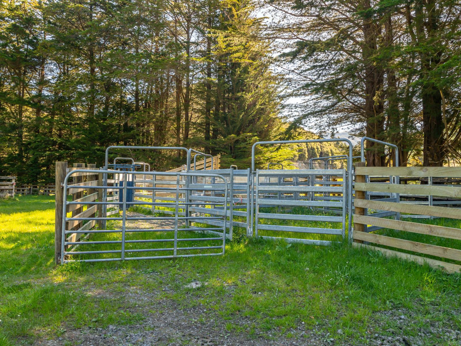 600 Hundalee Road, Kaikoura