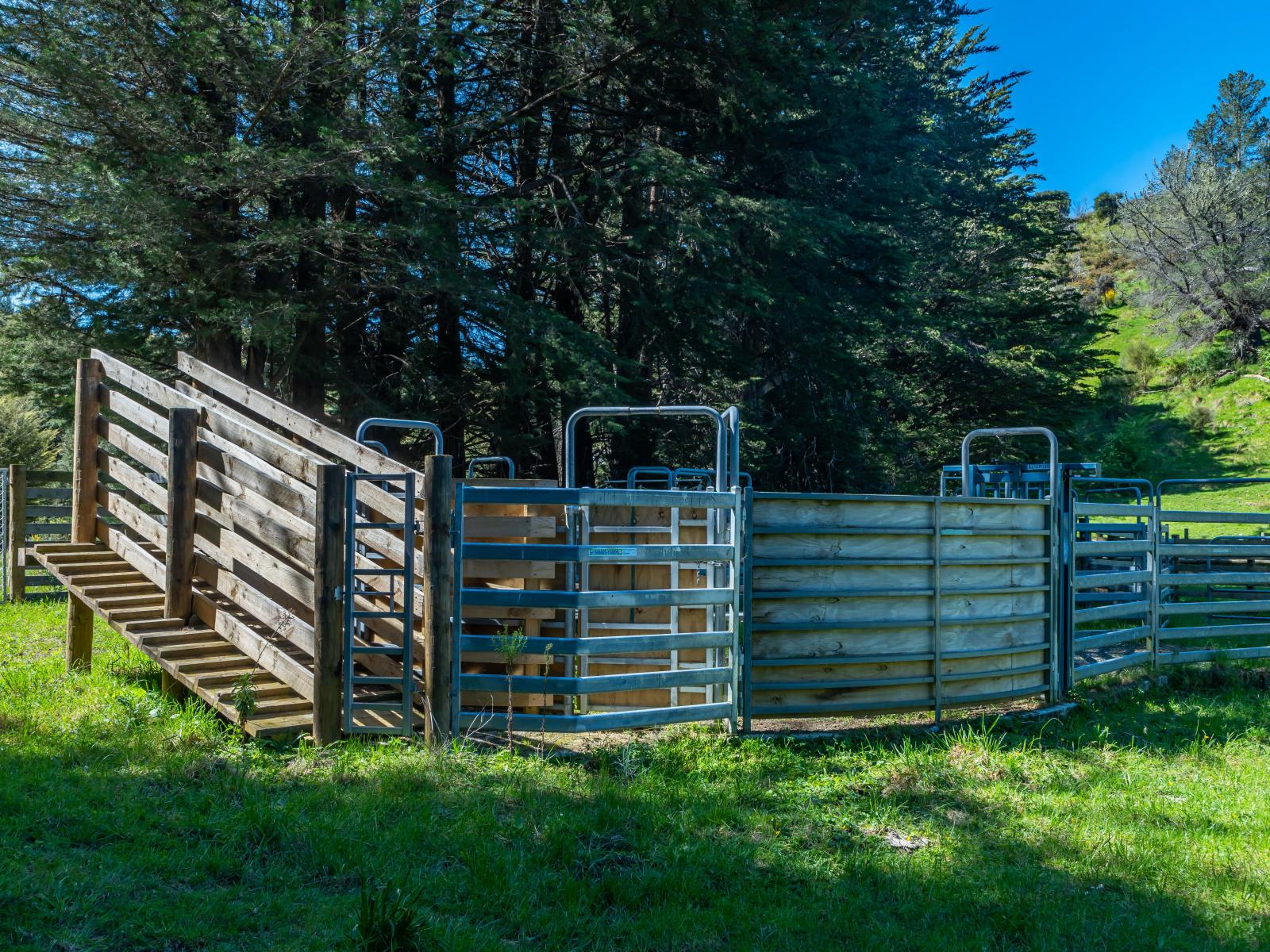 600 Hundalee Road, Kaikoura