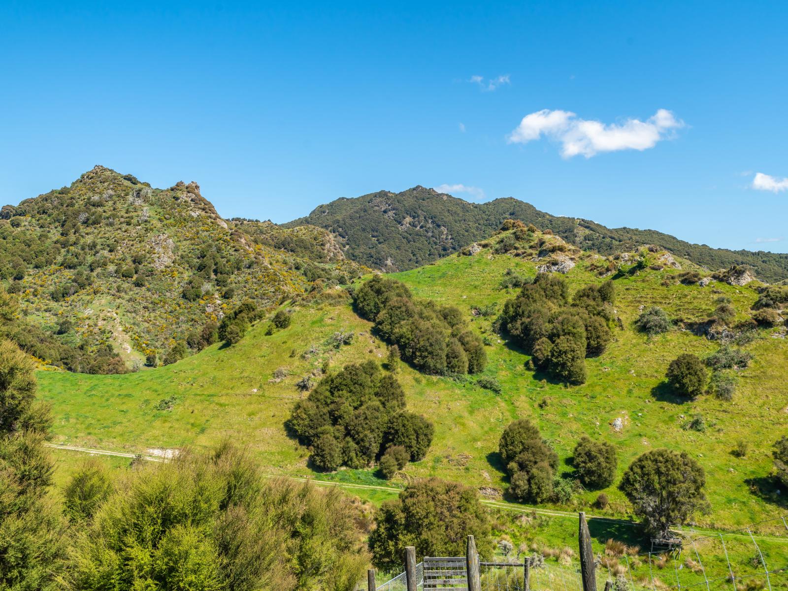 600 Hundalee Road, Kaikoura