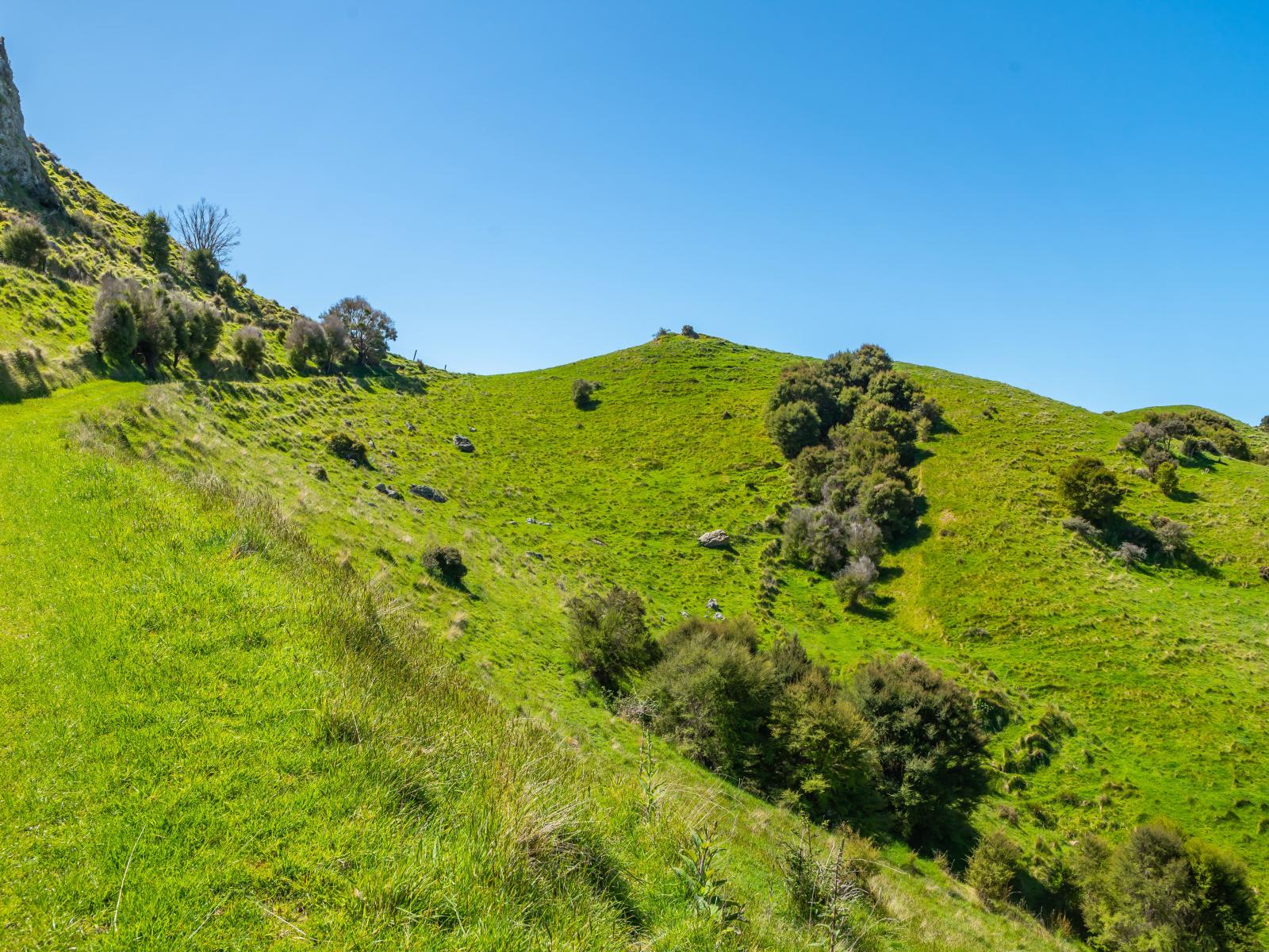 600 Hundalee Road, Kaikoura