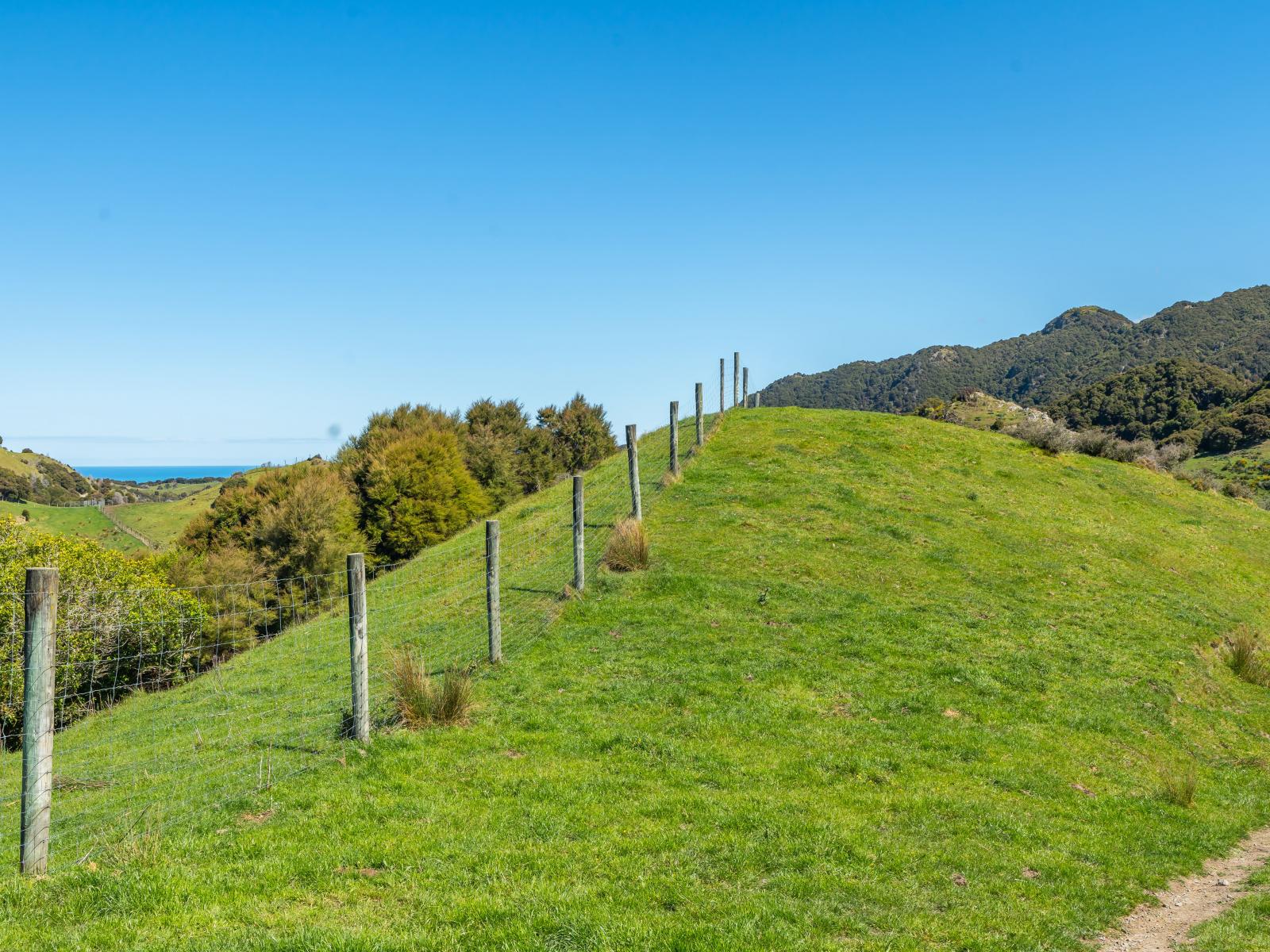 600 Hundalee Road, Kaikoura