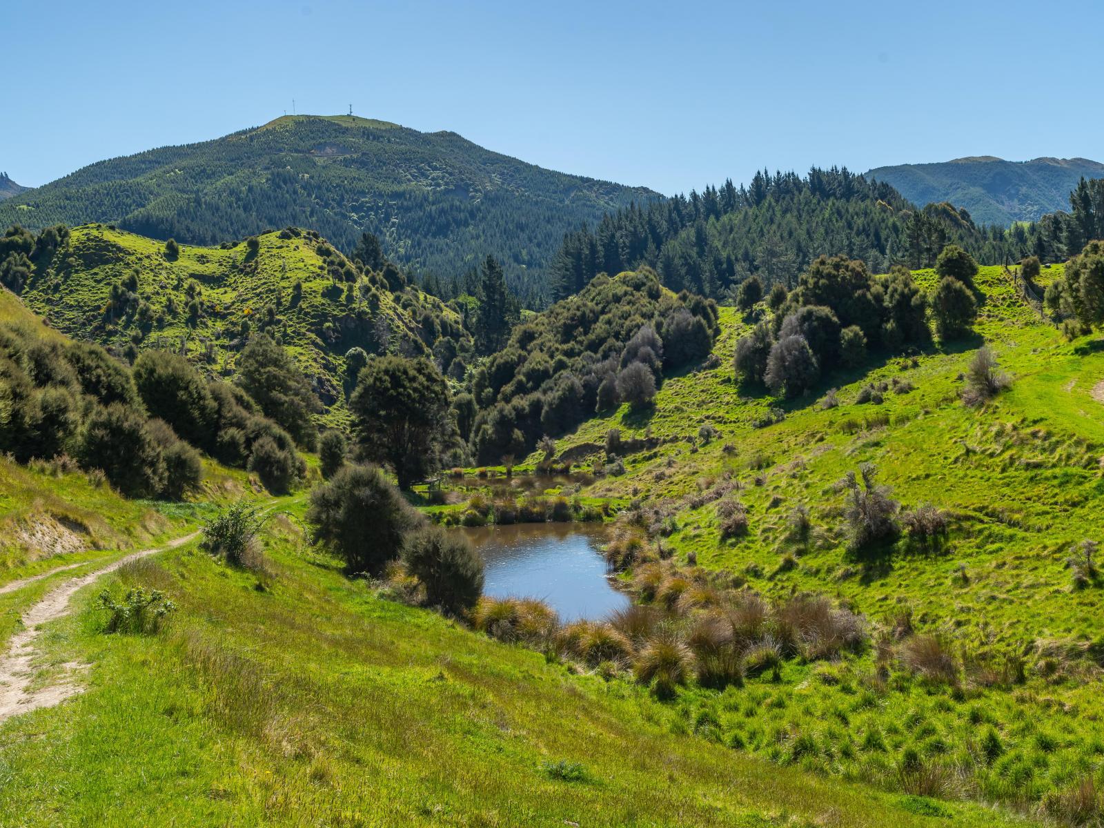 600 Hundalee Road, Kaikoura