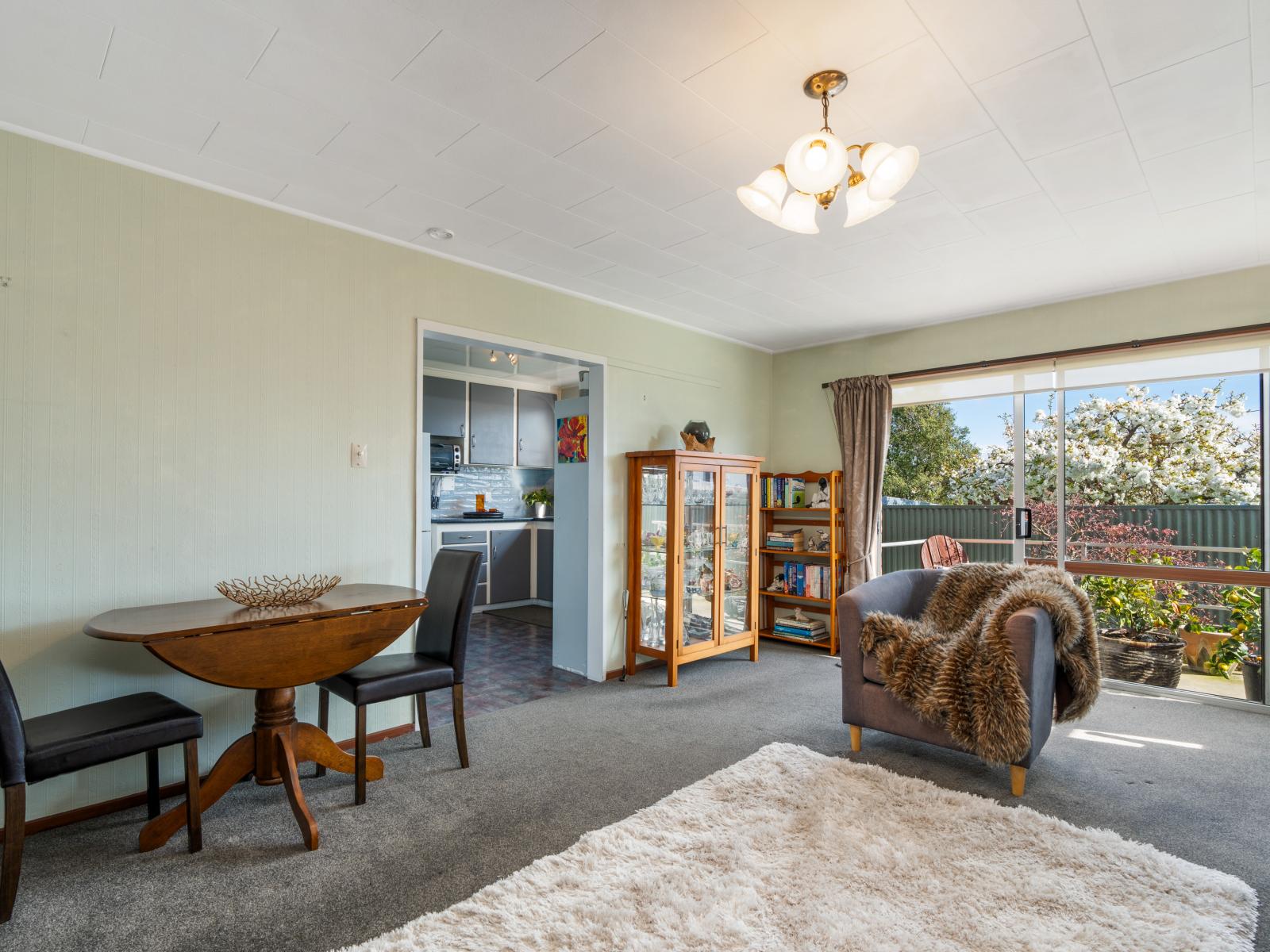 110D Argyle Street, Mosgiel