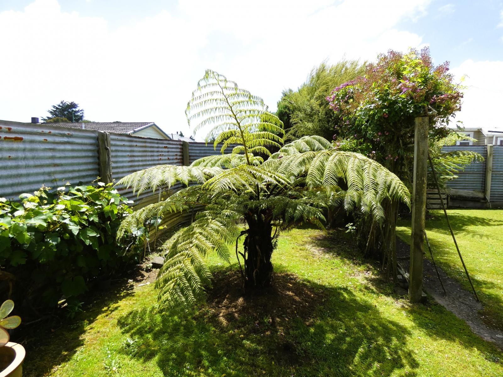 54 Domett Street, Westport