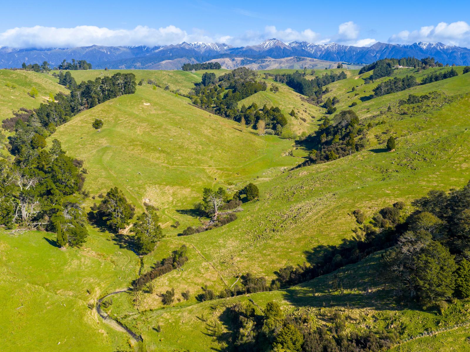 1139 Blackburn Road, Ongaonga