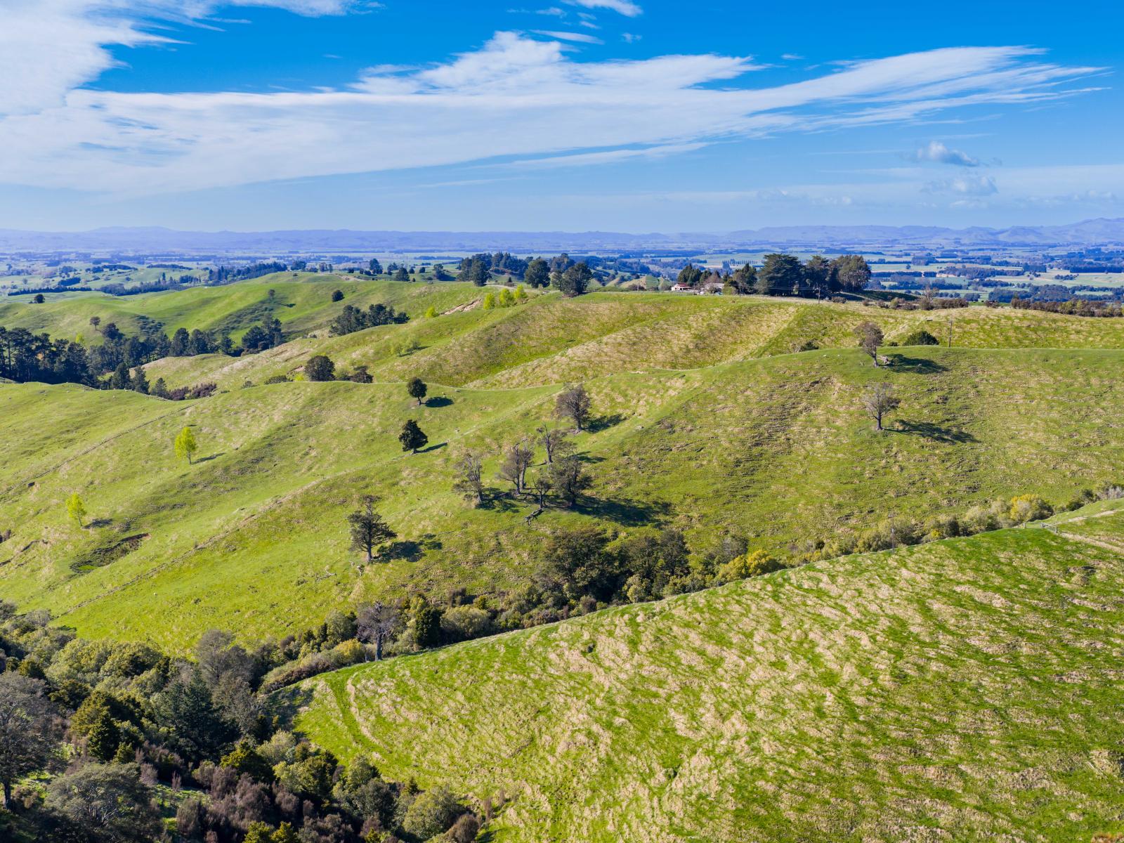 1139 Blackburn Road, Ongaonga