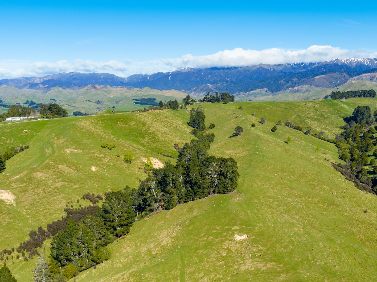 1139 Blackburn Road, Ongaonga
