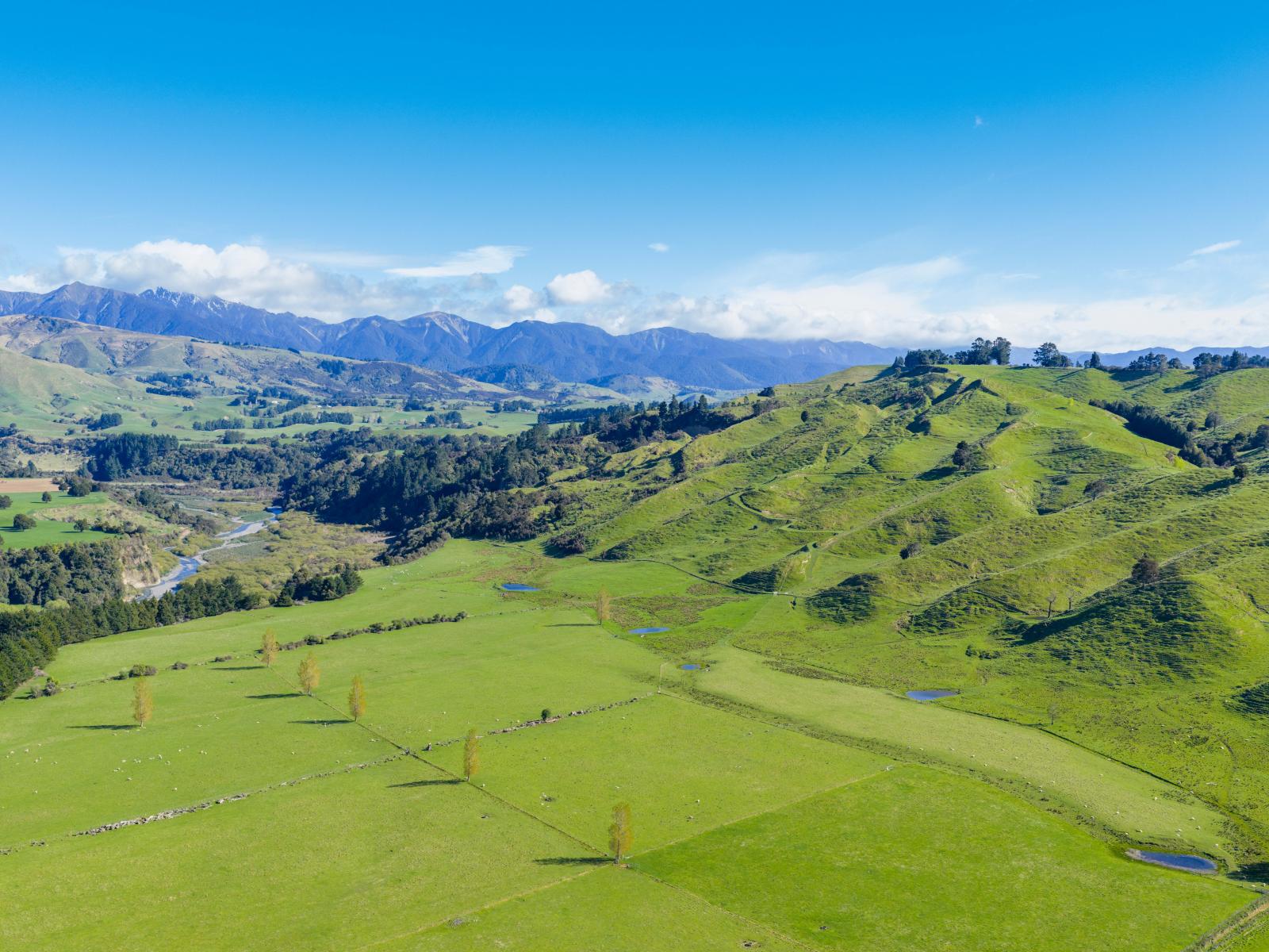 1139 Blackburn Road, Ongaonga