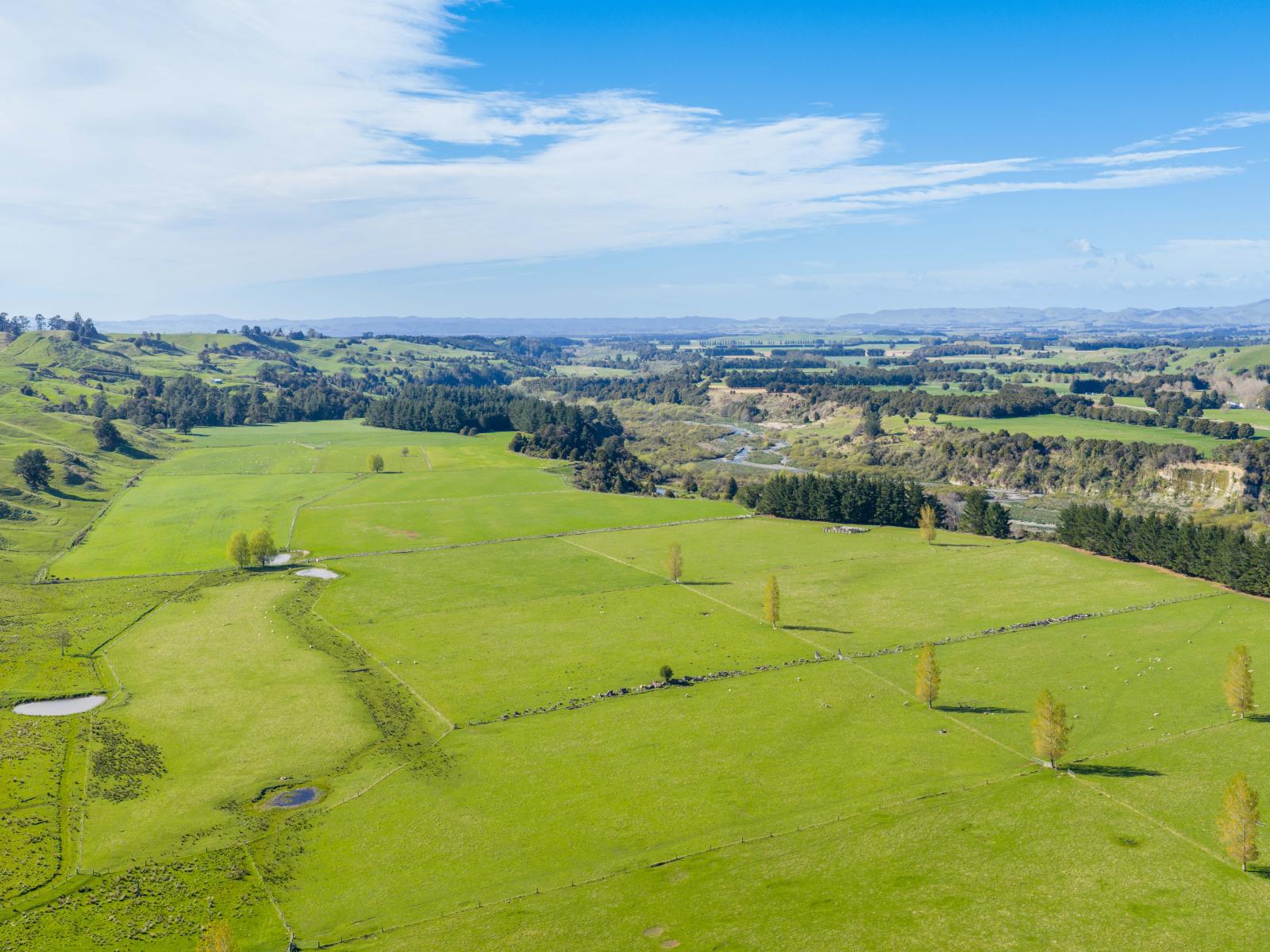1139 Blackburn Road, Ongaonga