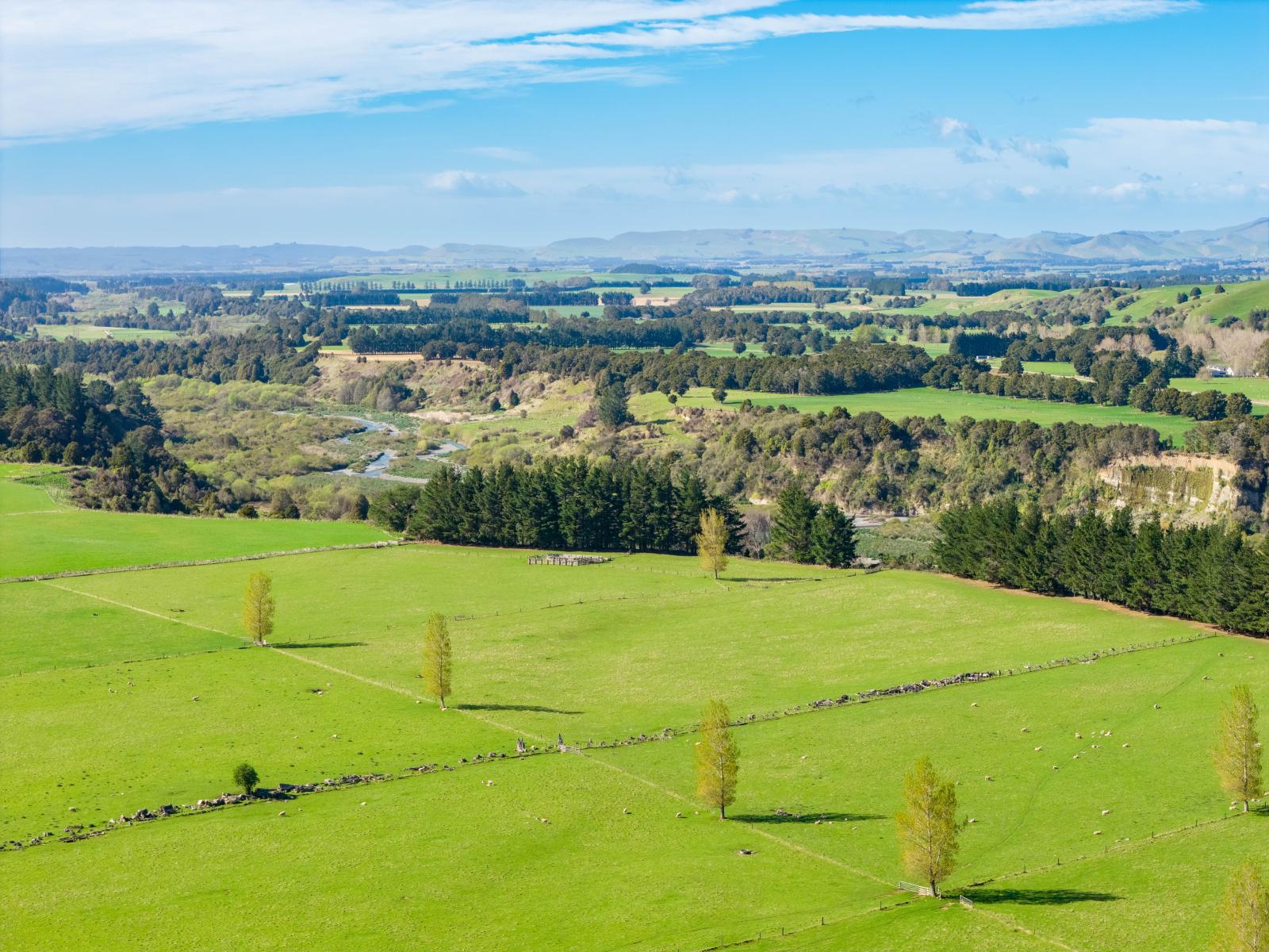1139 Blackburn Road, Ongaonga