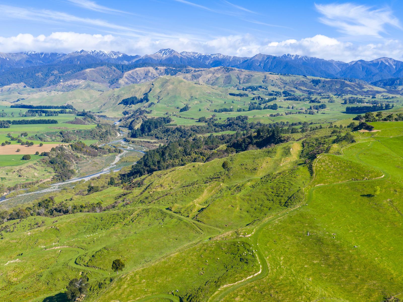 1139 Blackburn Road, Ongaonga