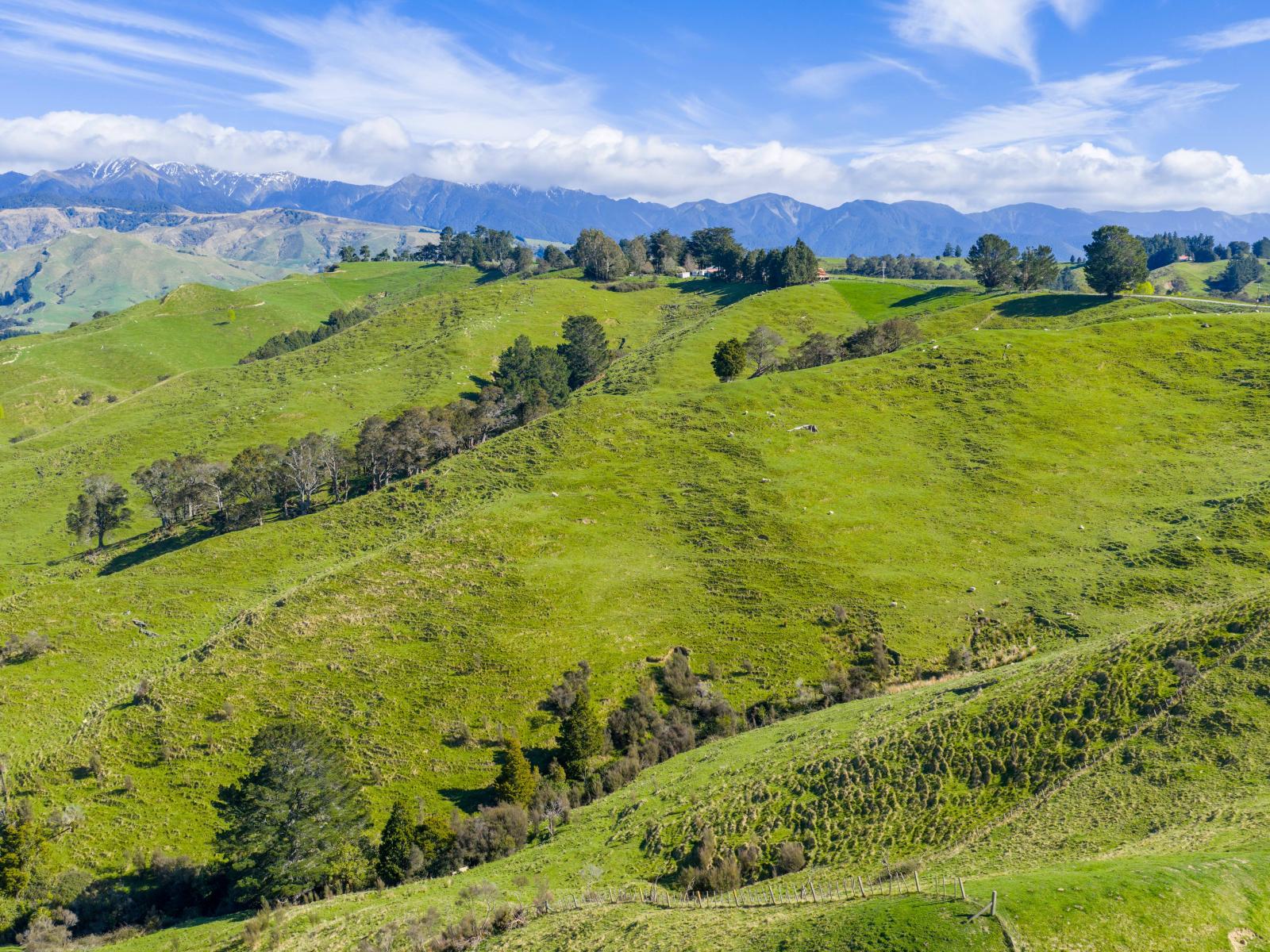 1139 Blackburn Road, Ongaonga