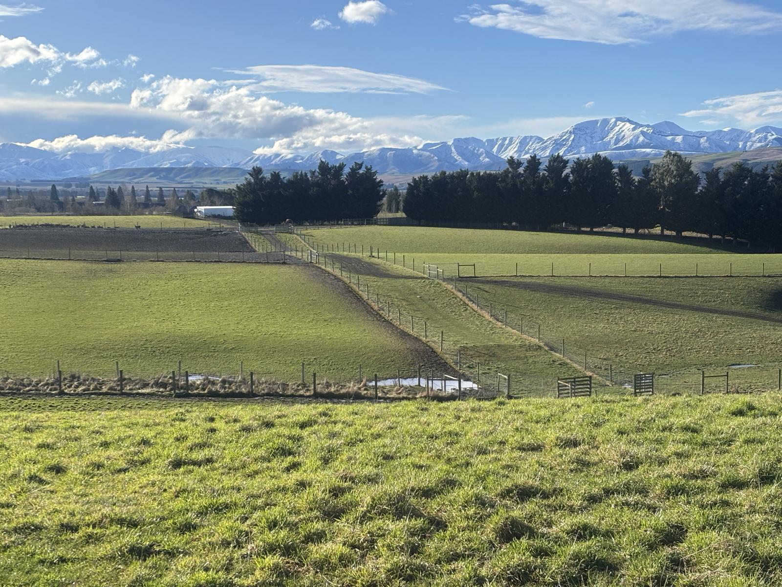 455 Albury Fairlie Road, Mackenzie Country