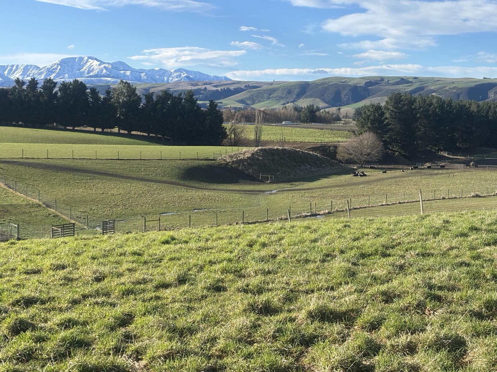 455 Albury Fairlie Road, Mackenzie Country