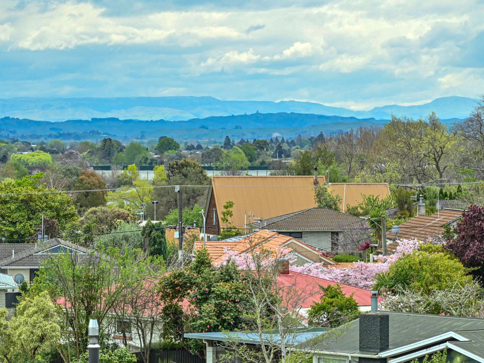 11 Busby Hill, Havelock North