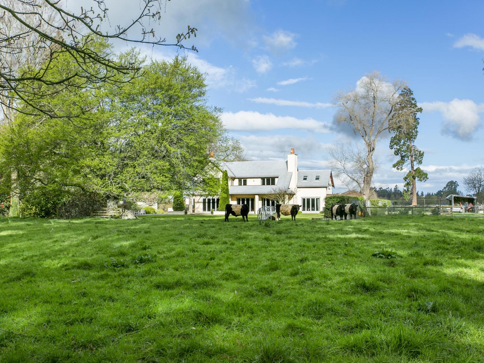 100 Beach Road East, Ashburton