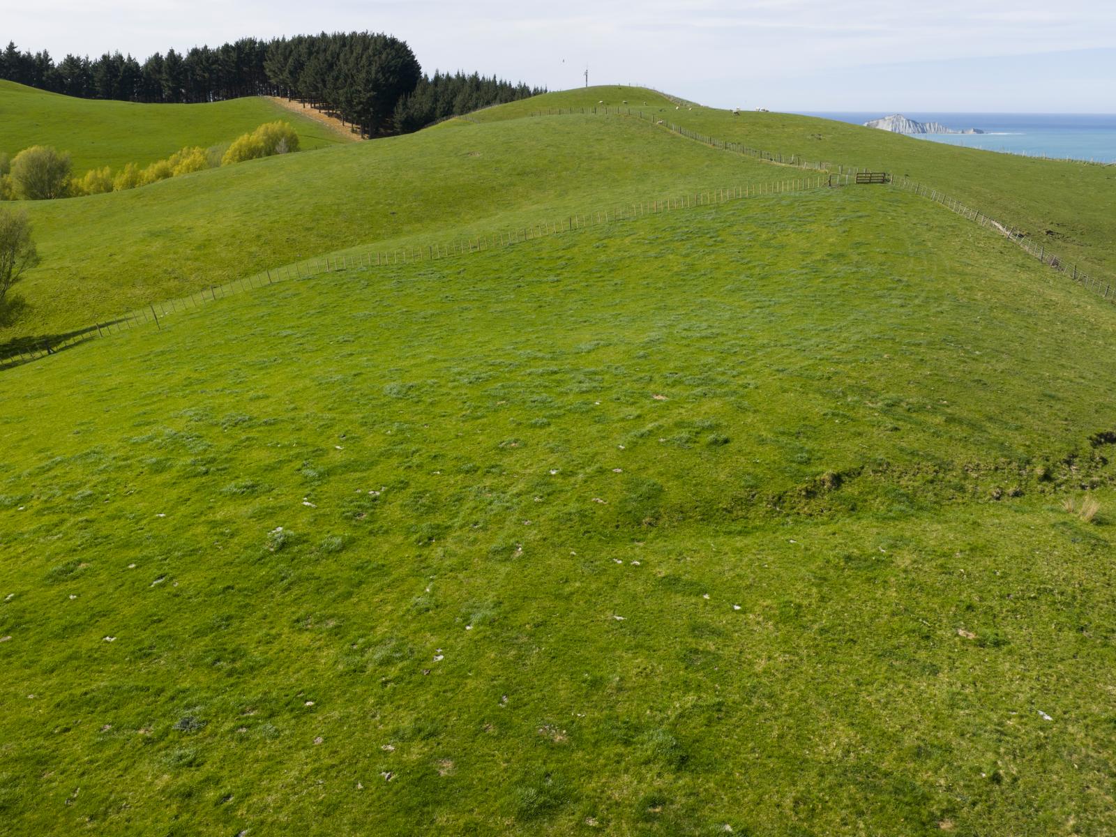 Lot 1 Waimarama Road, Waimarama