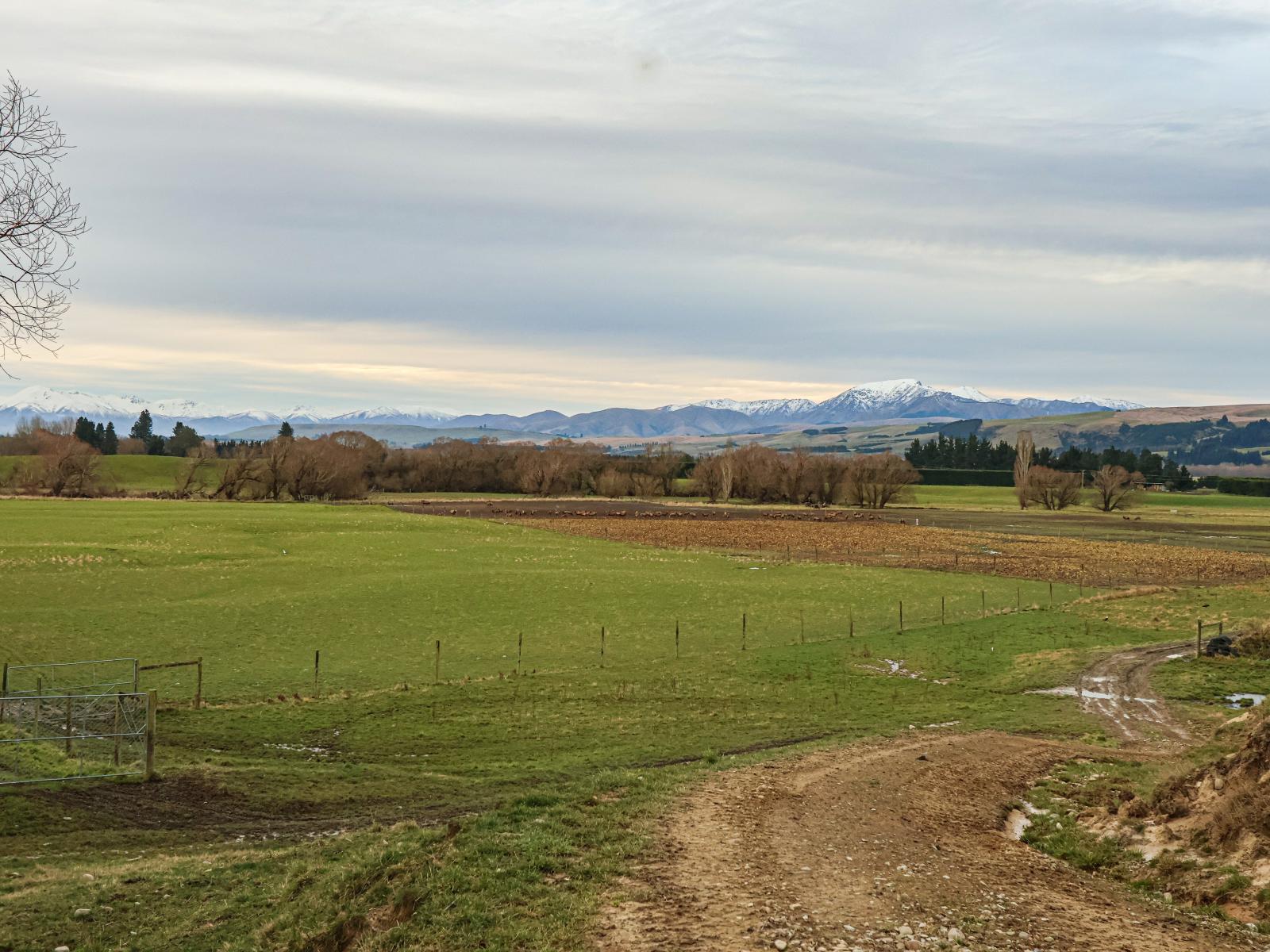 455 Albury Fairlie Road, Mackenzie Country