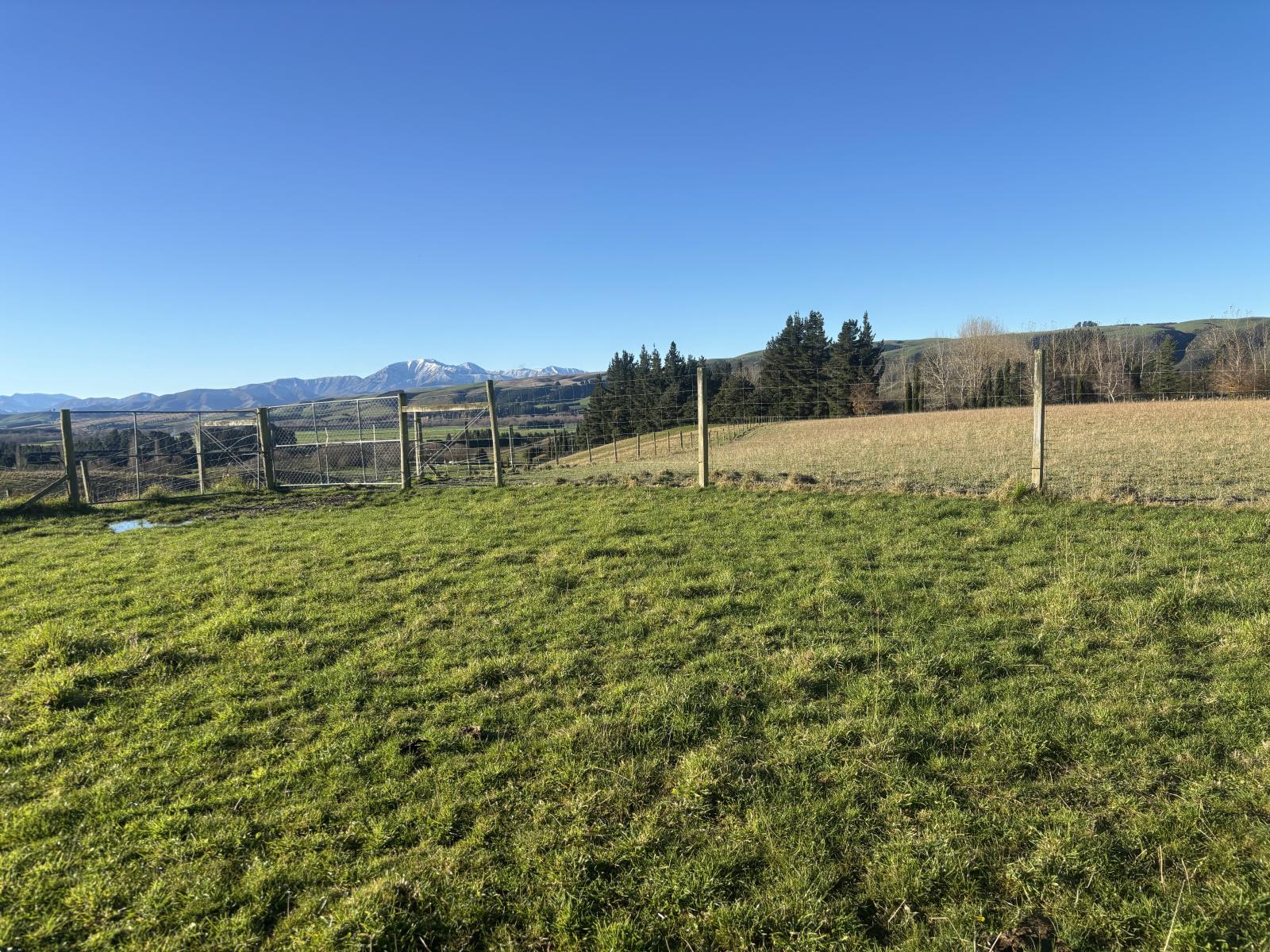 455 Albury Fairlie Road, Mackenzie Country