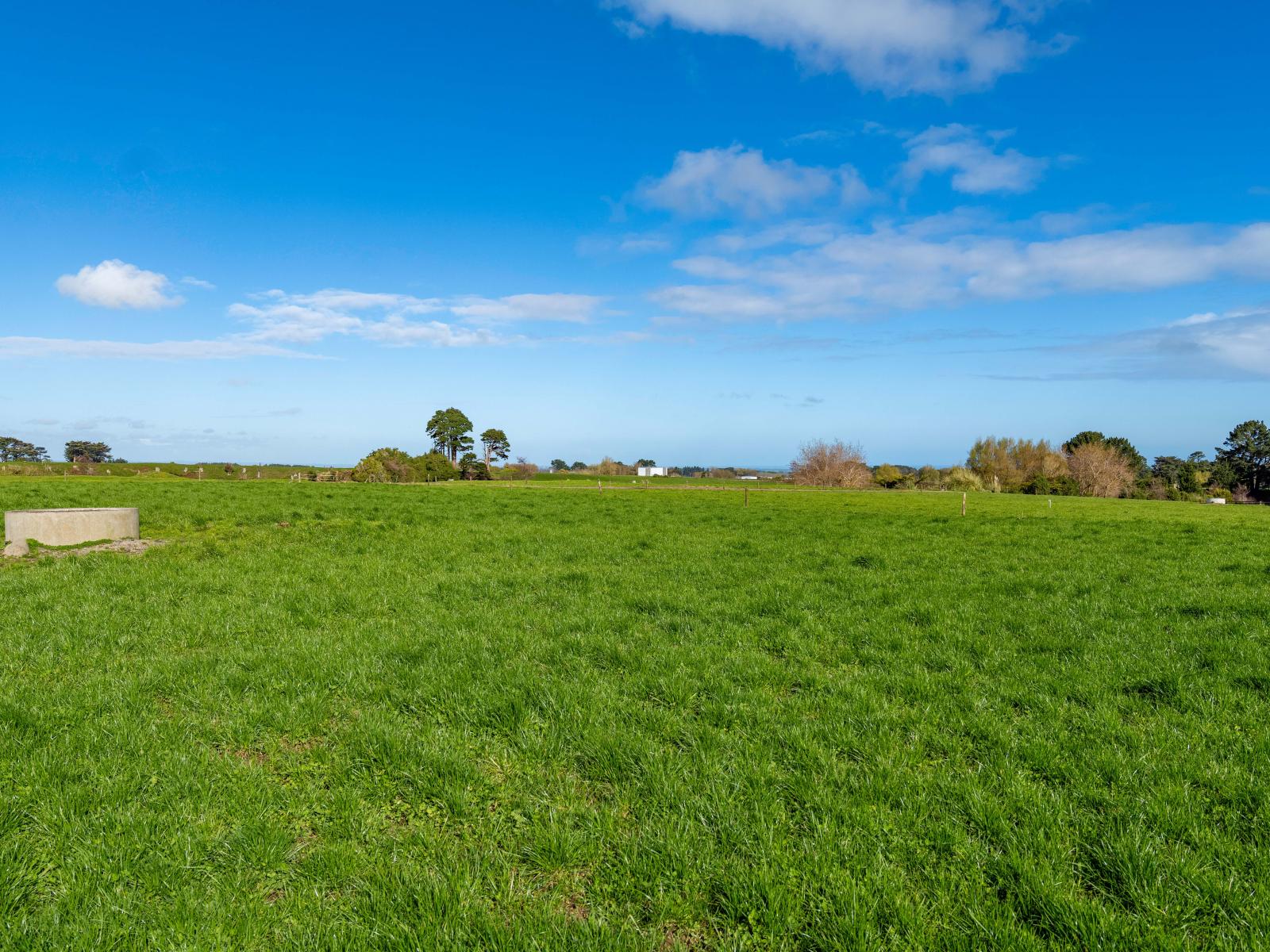 1641 Eltham Road, Kaponga