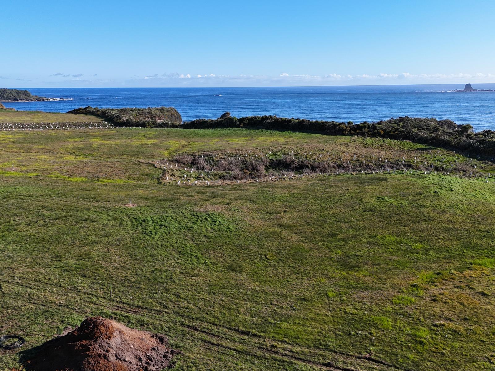 986C Cape Foulwind Road, Cape Foulwind