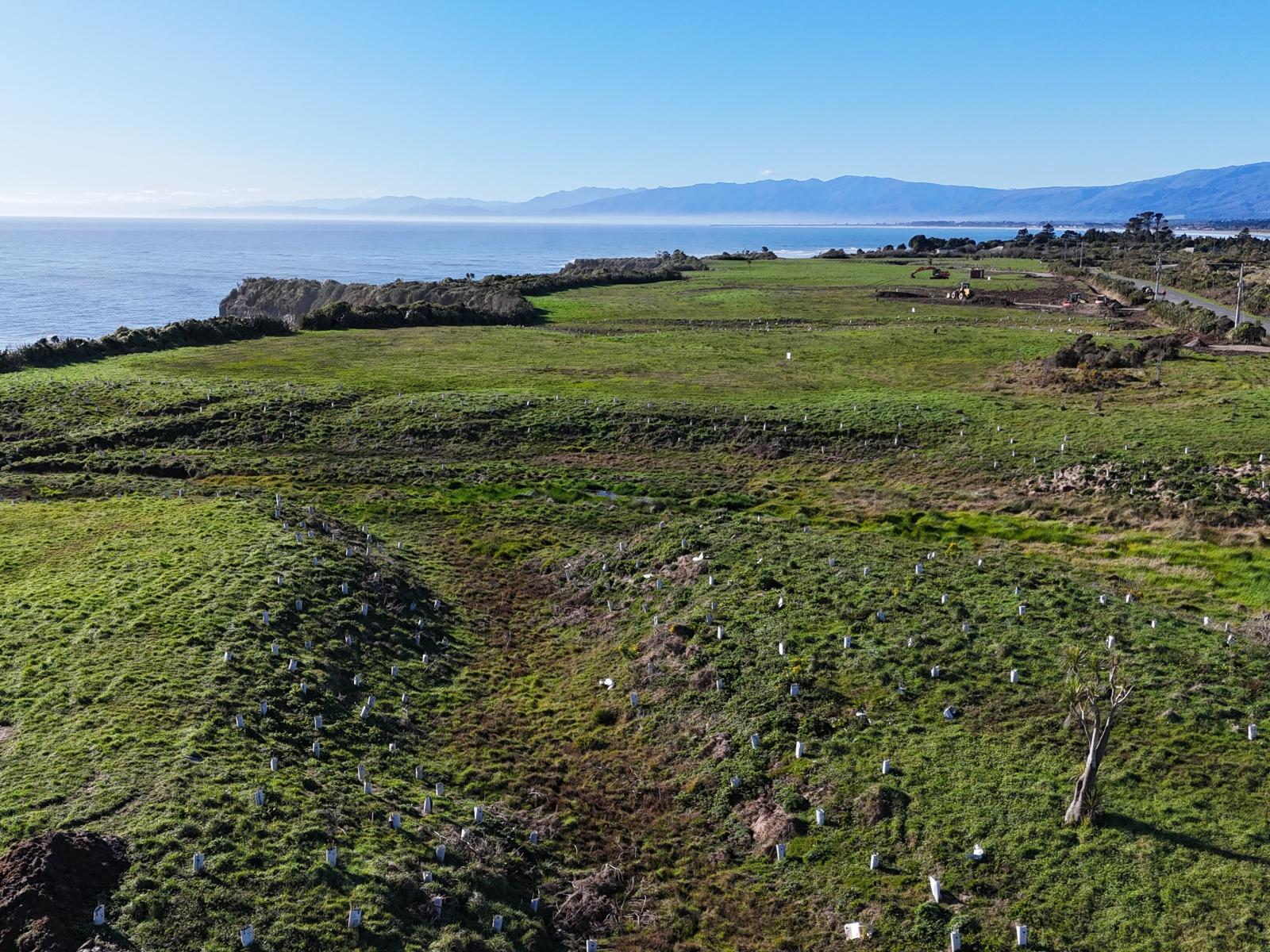 986C Cape Foulwind Road, Cape Foulwind
