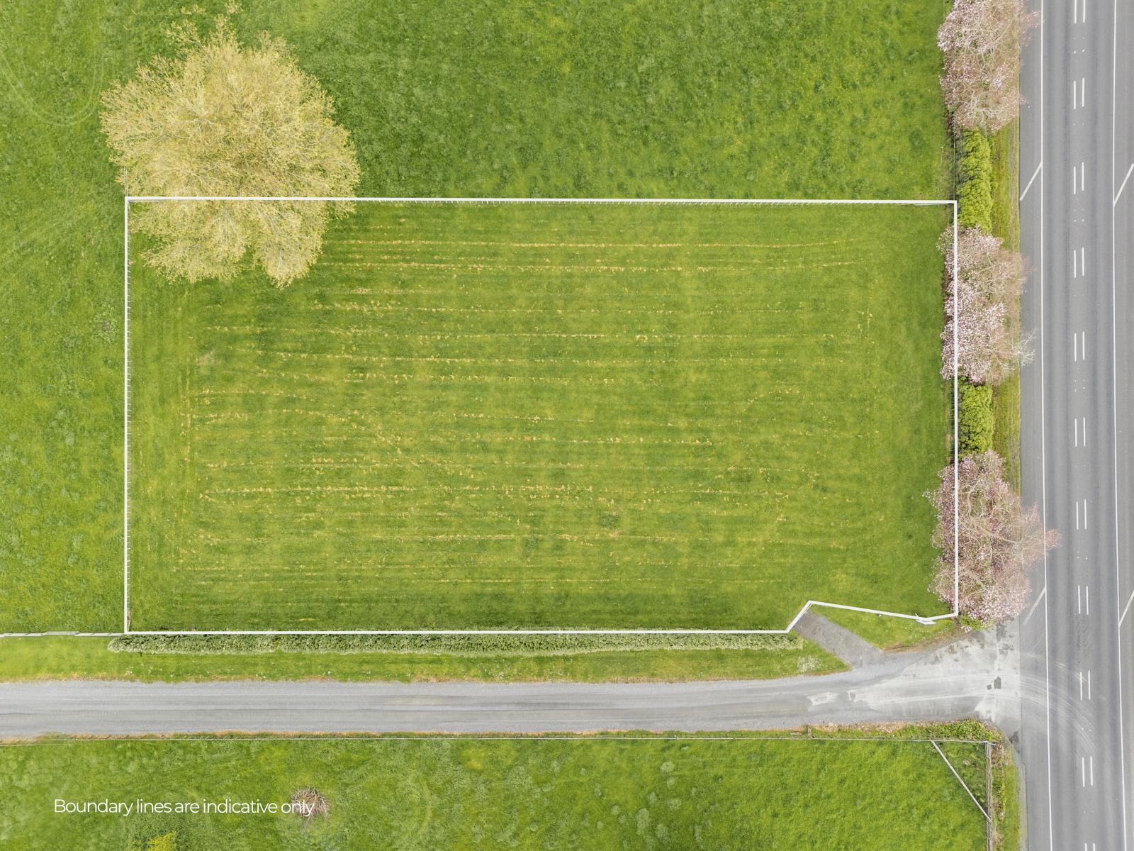 1532 Cambridge Road, Cambridge