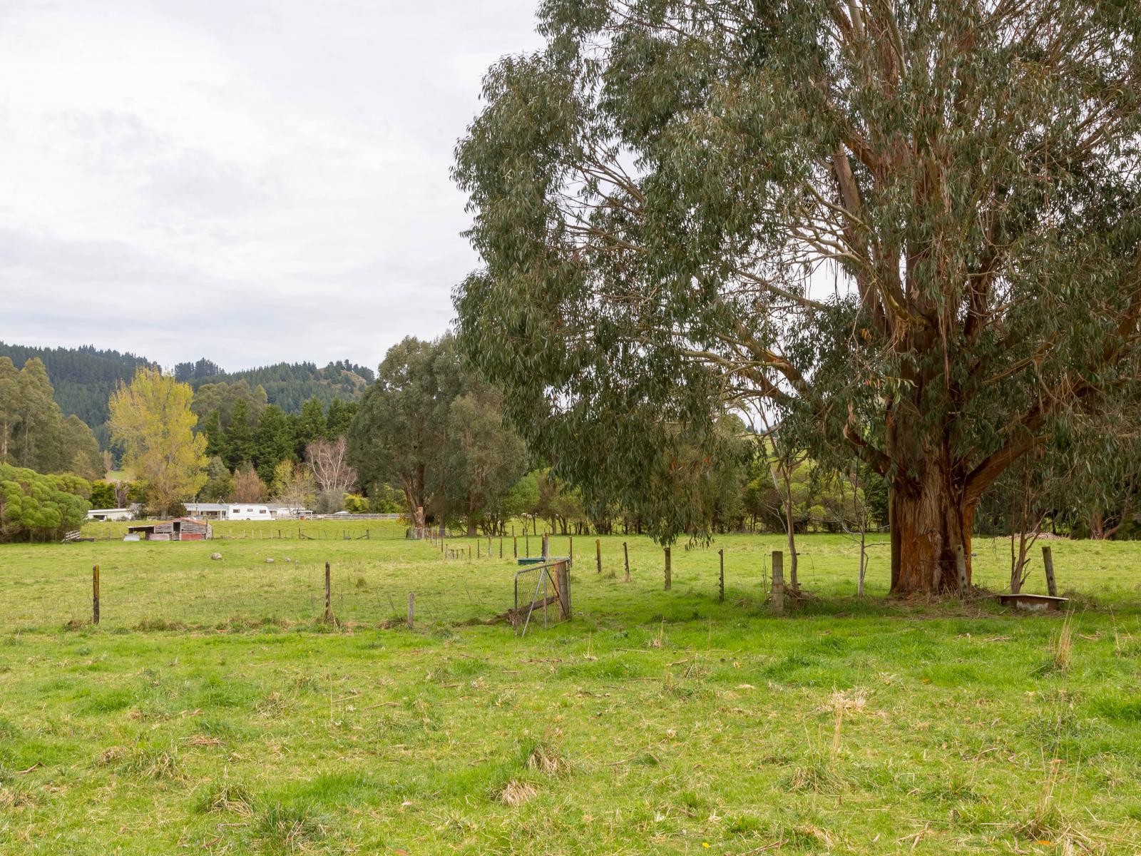 960 Norfolk Road, Carterton