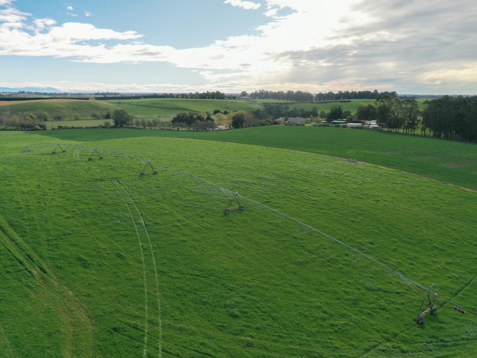 140 King Road, Rosewill