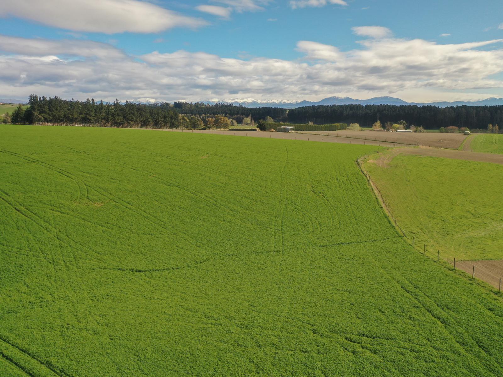 140 King Road, Rosewill