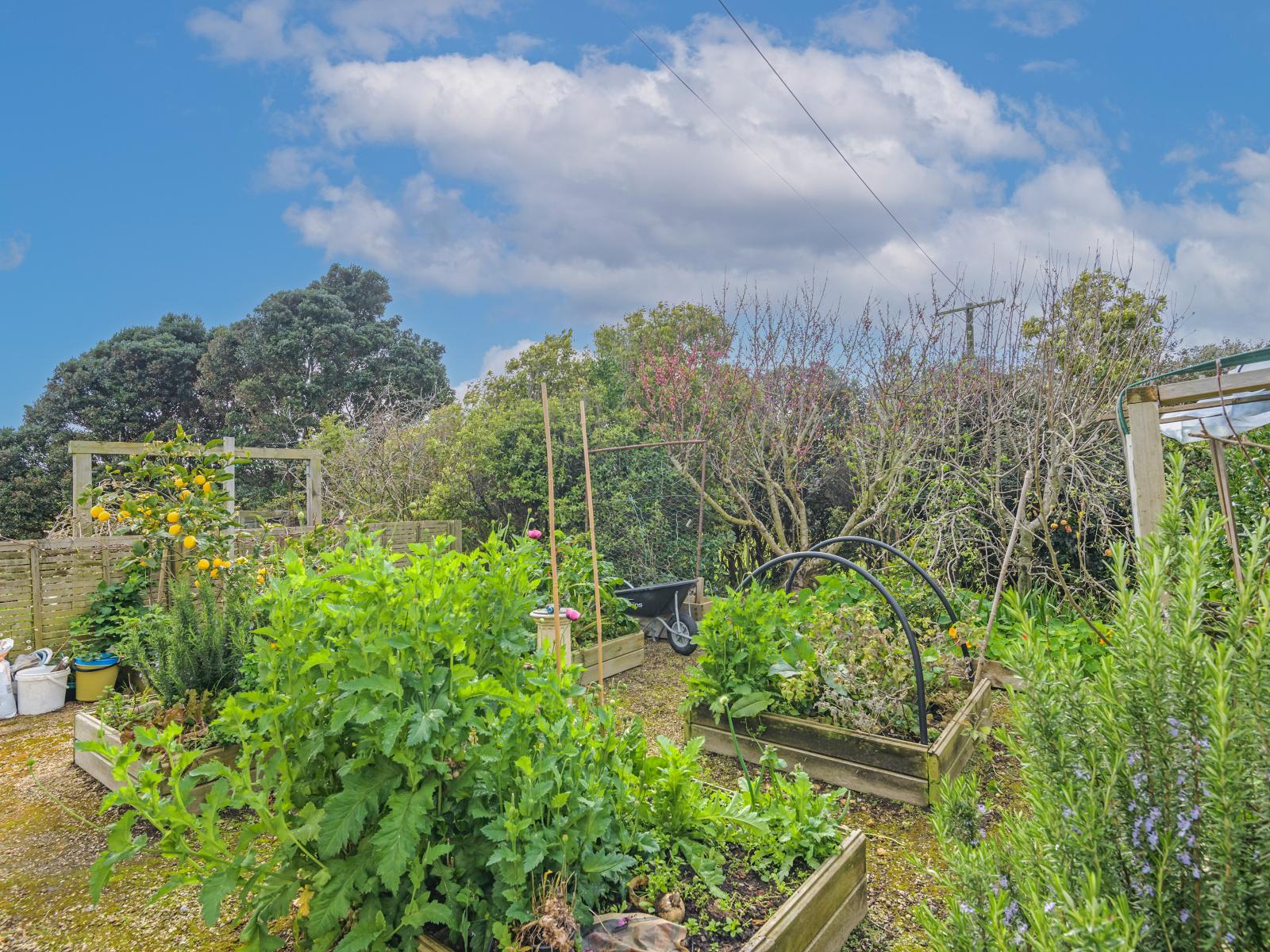482 Williamsons Line, Marton