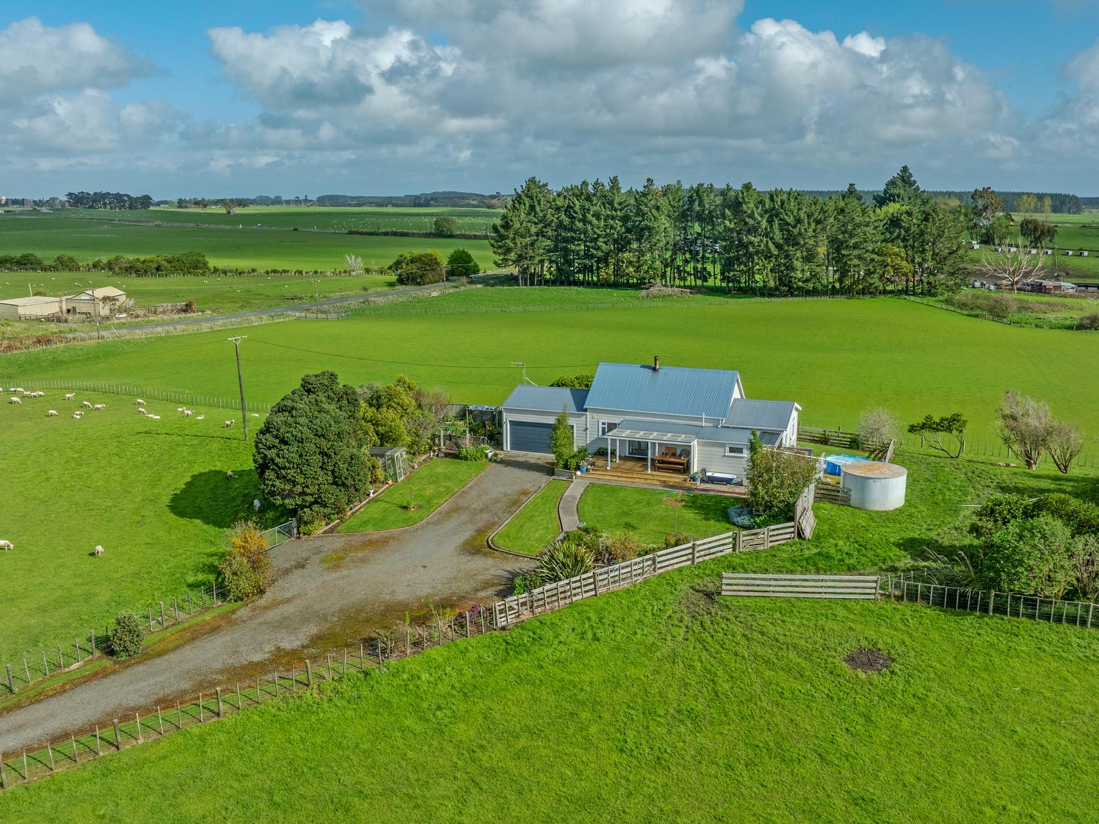 482 Williamsons Line, Marton