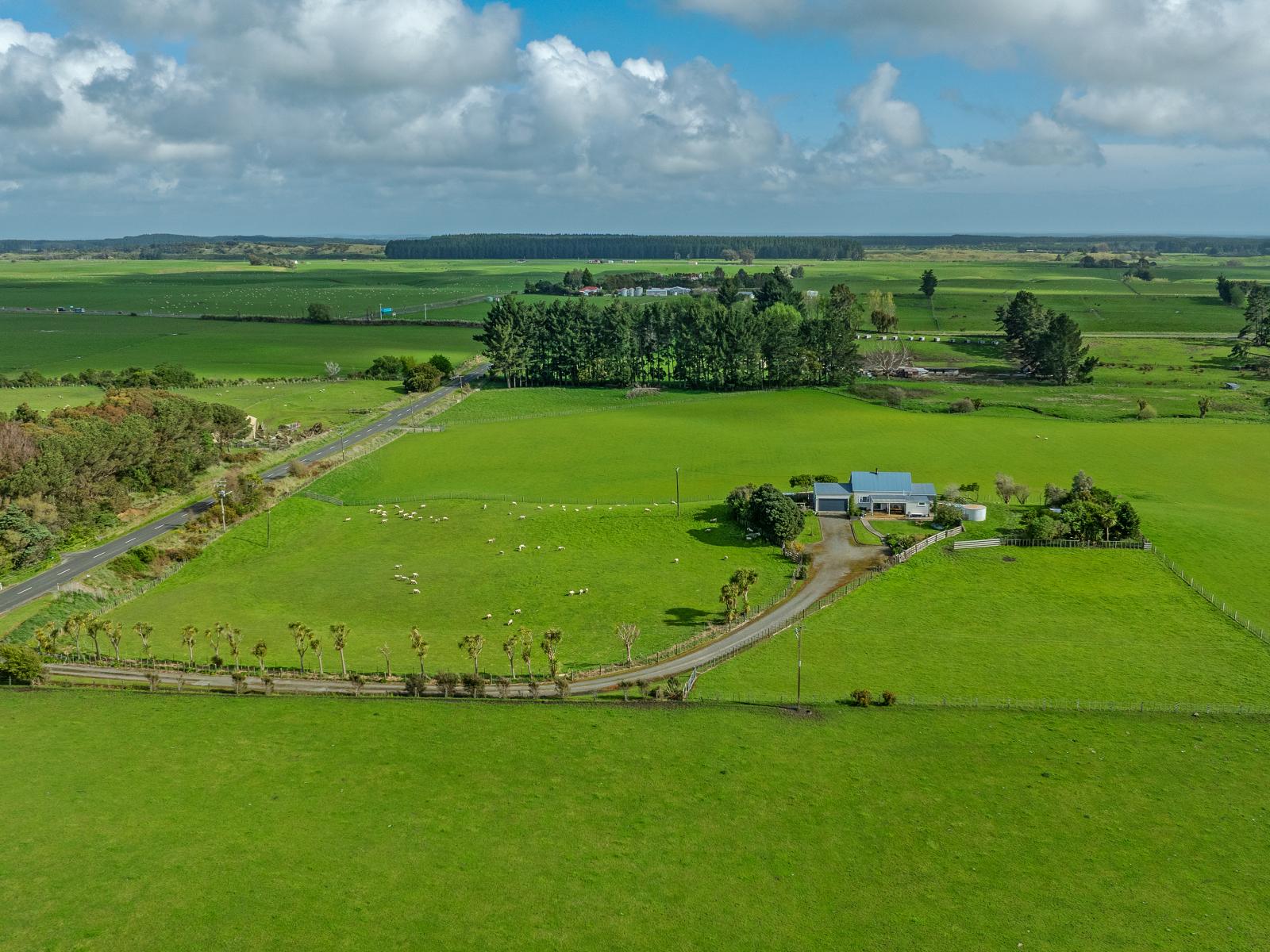 482 Williamsons Line, Marton