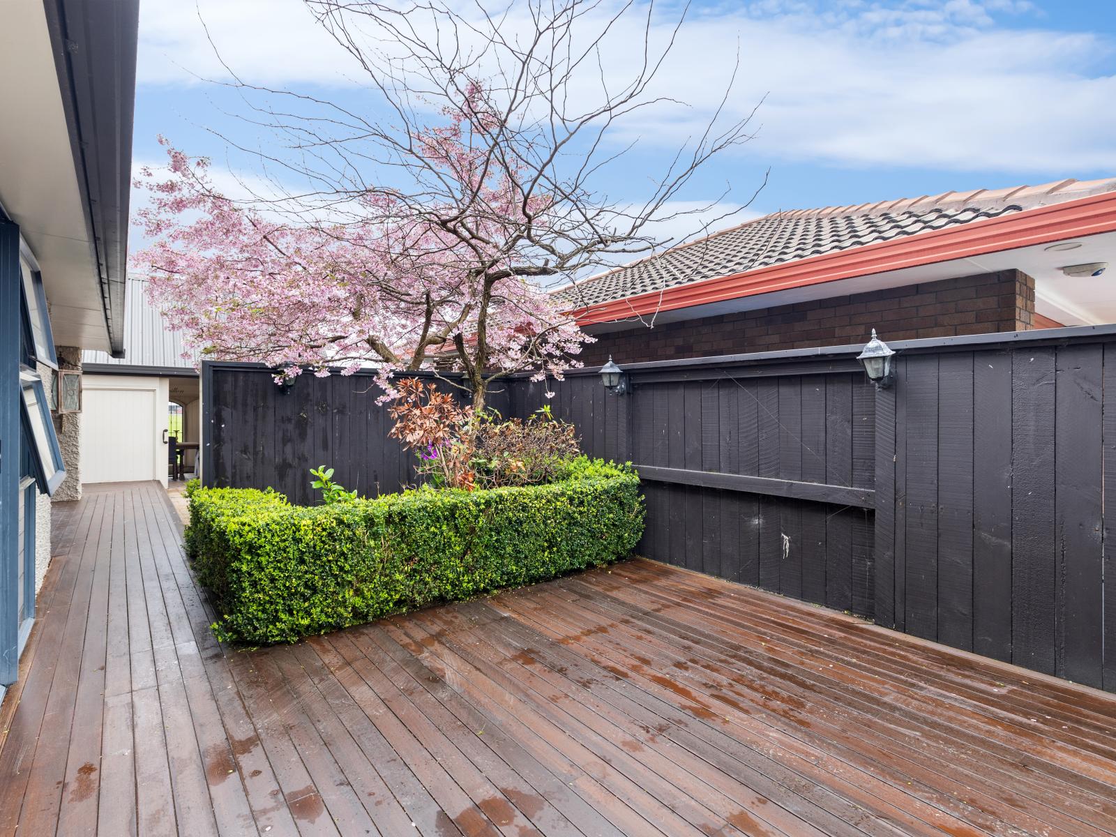 113 John F Kennedy Drive, Milson